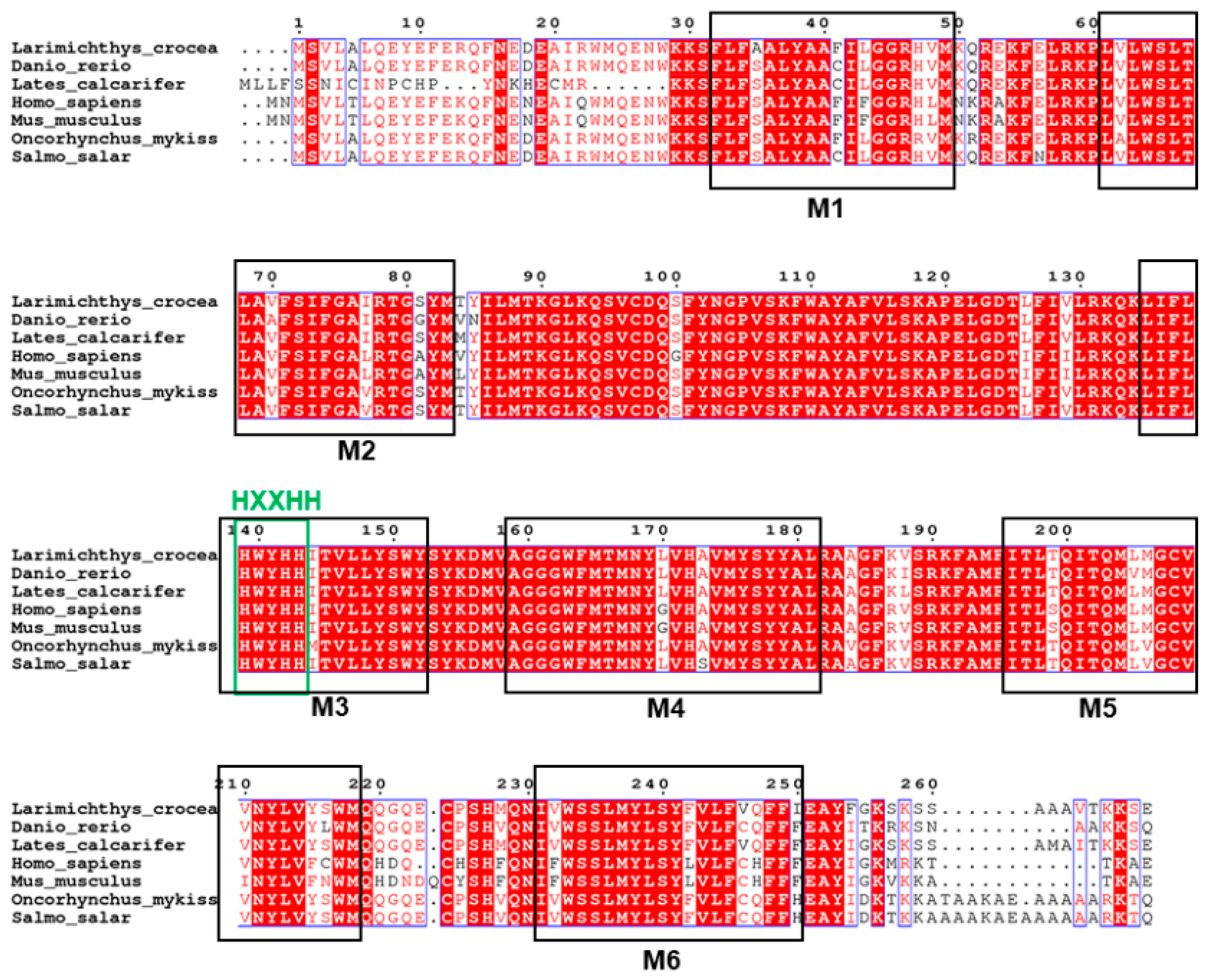 Ijms 20 01801 g002 Ijms 20 01801 g002