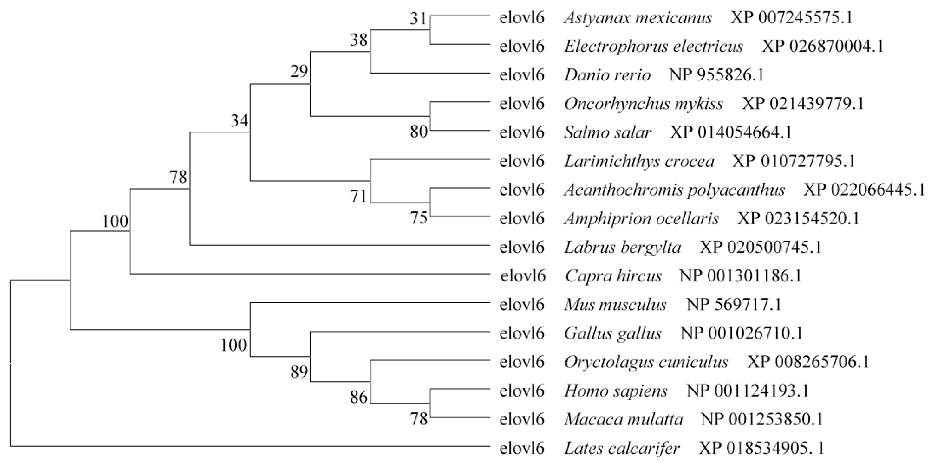 Ijms 20 01801 g003 Ijms 20 01801 g003