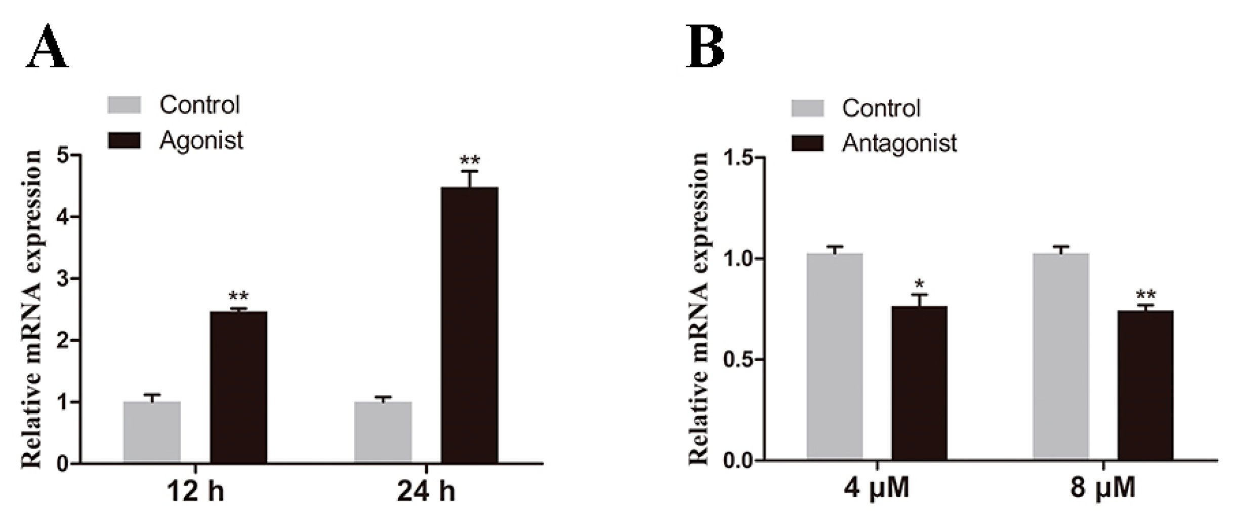 Ijms 20 01801 g008 Ijms 20 01801 g008