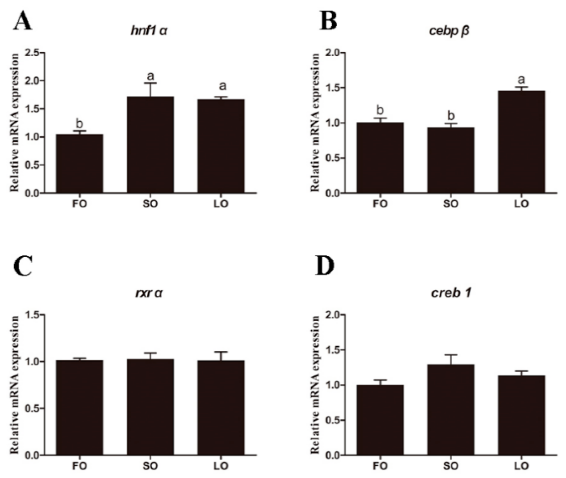 Ijms 20 01801 g009 Ijms 20 01801 g009