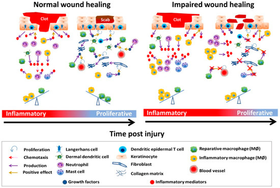 Characterization and immune regulation role of an immobilization