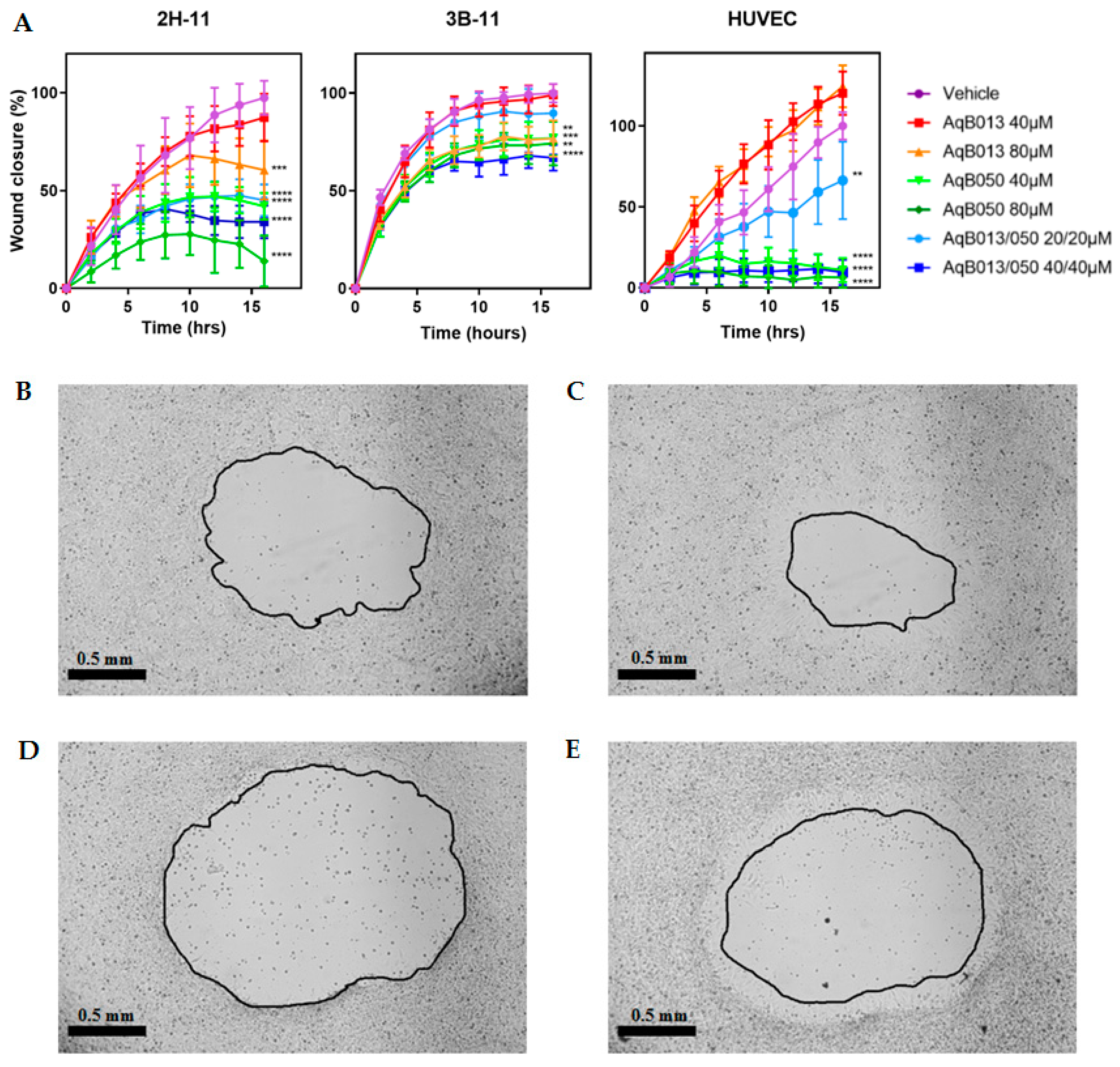 Ijms 20 01818 g004 Ijms 20 01818 g004