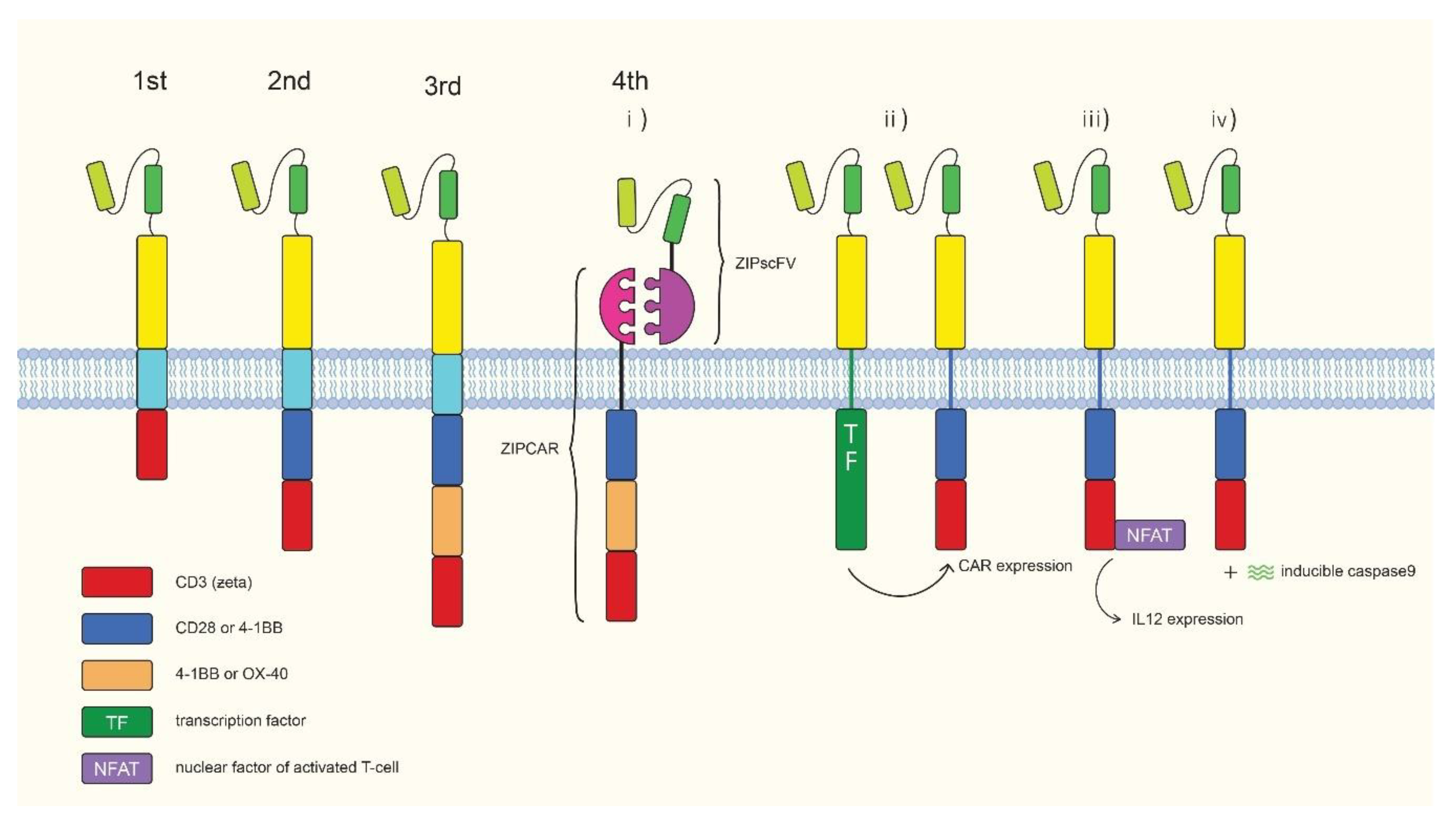 Ijms 20 01825 g002