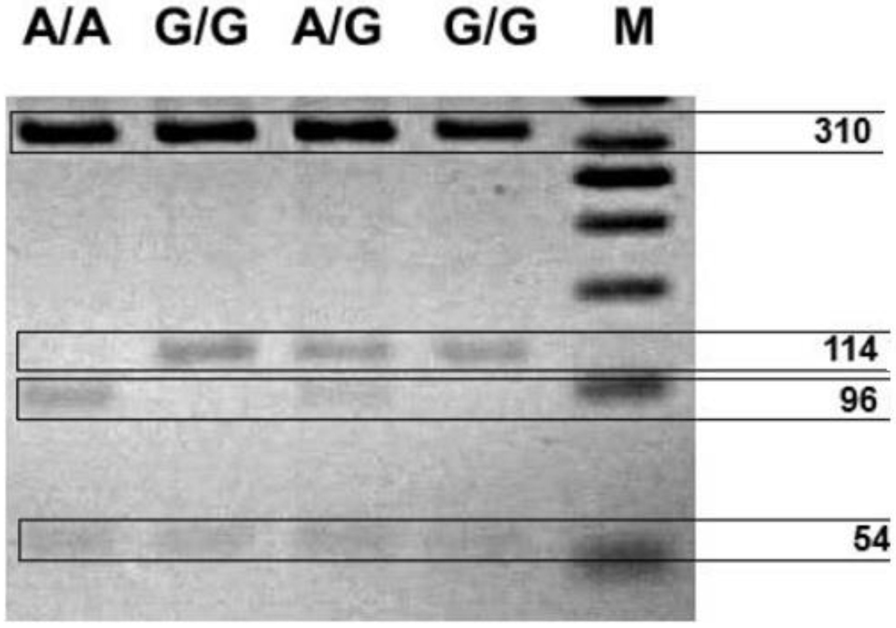 Ijms 20 01847 g001