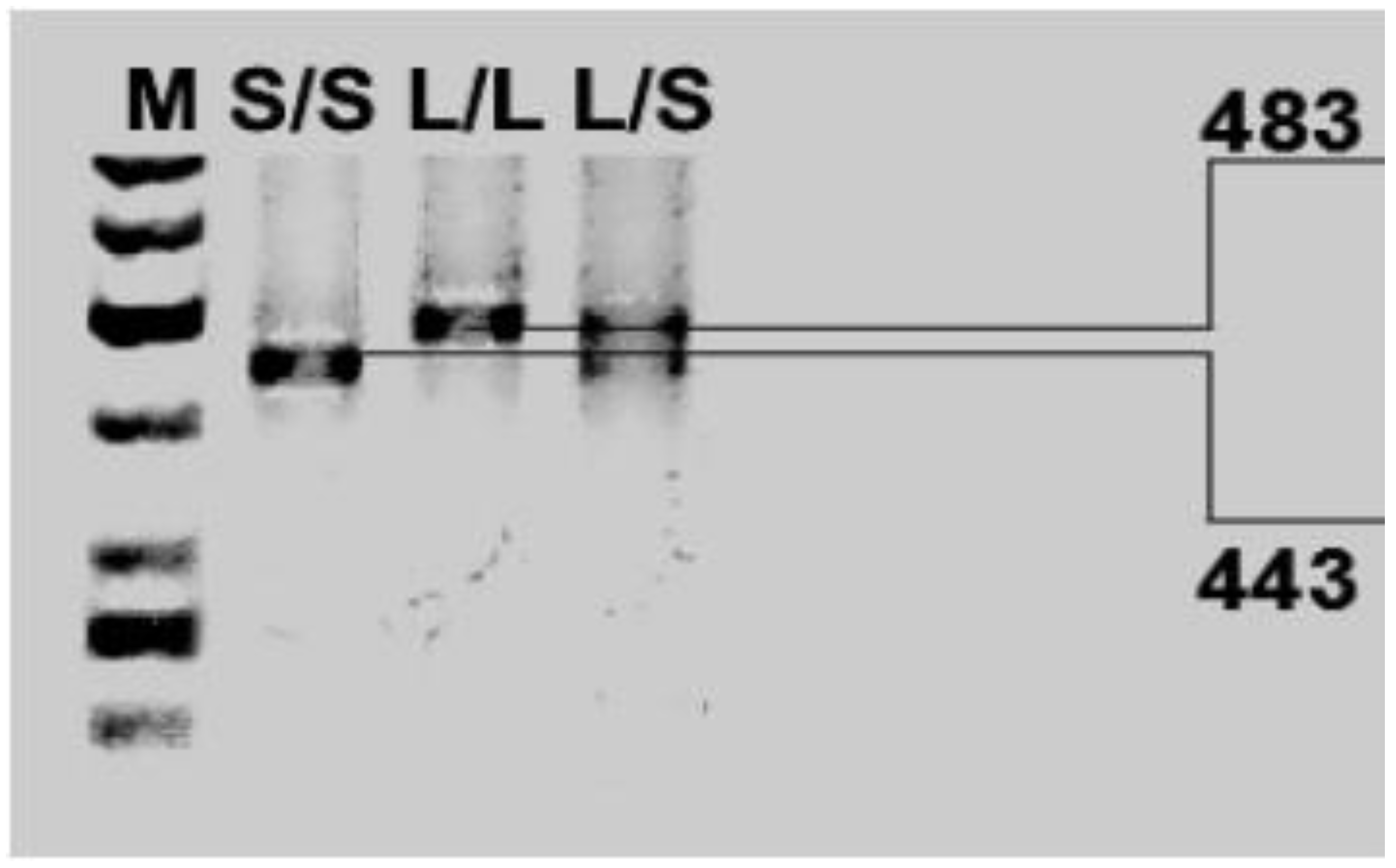 Ijms 20 01847 g002