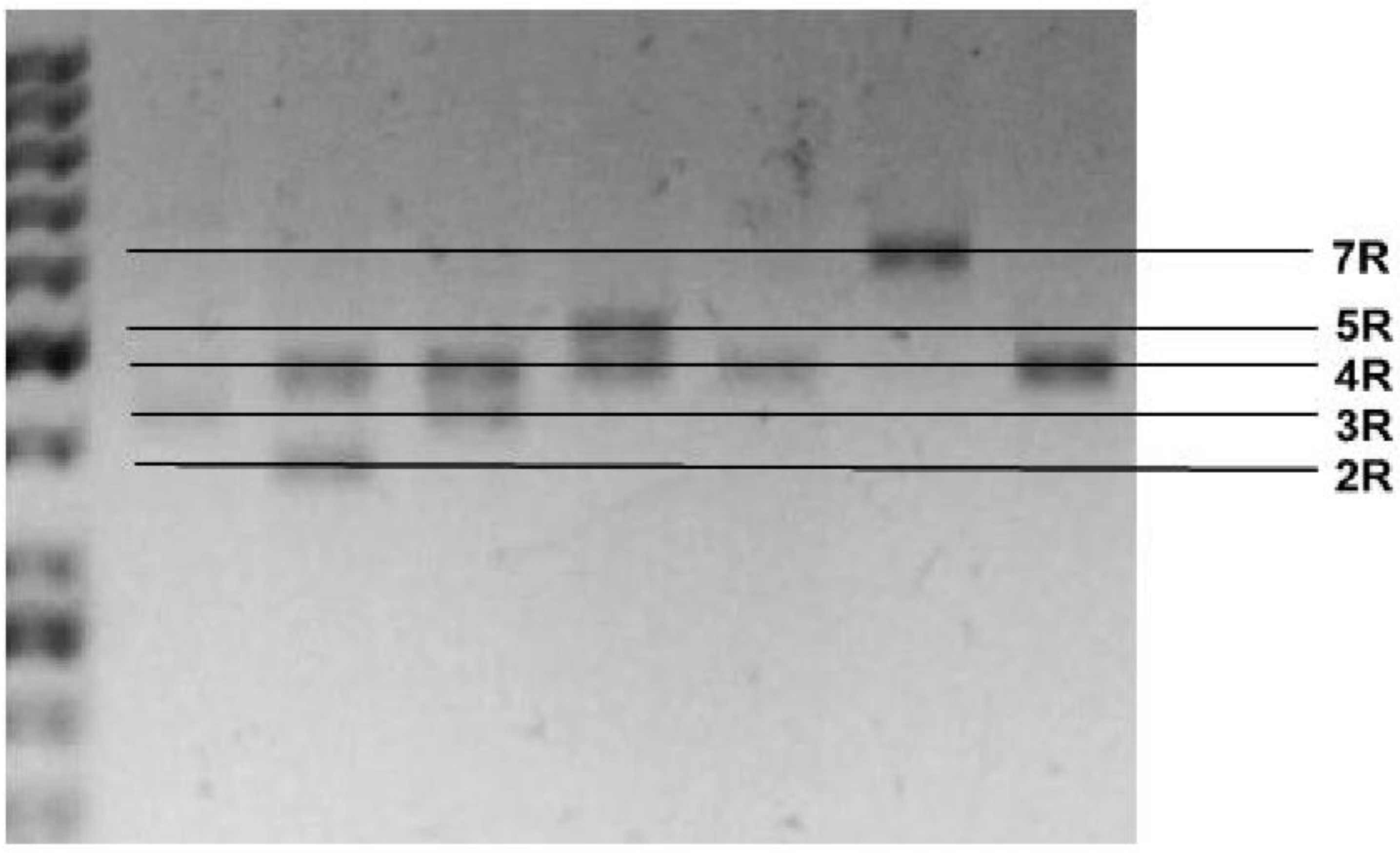 Ijms 20 01847 g003
