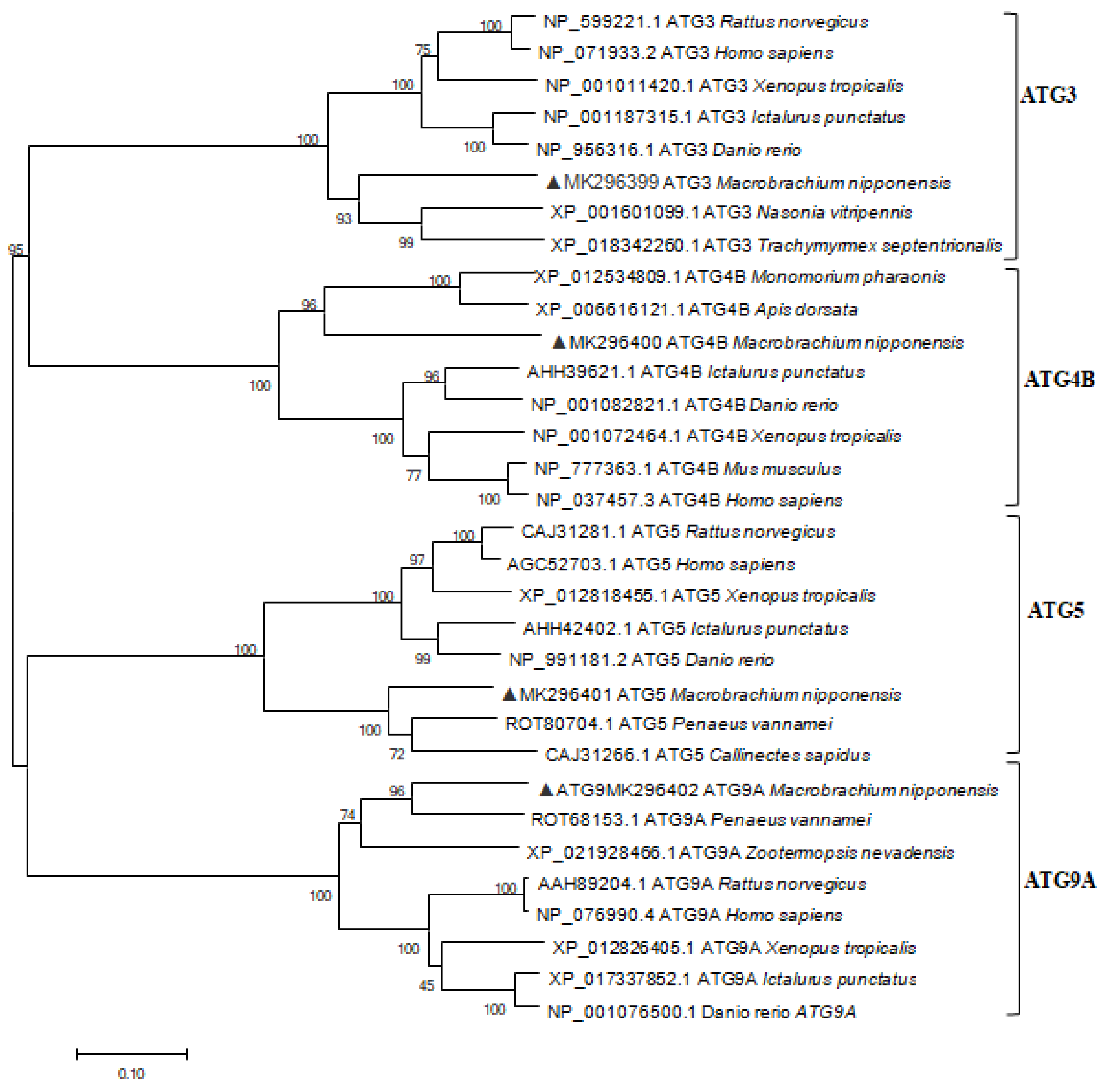 Ijms 20 01856 g002