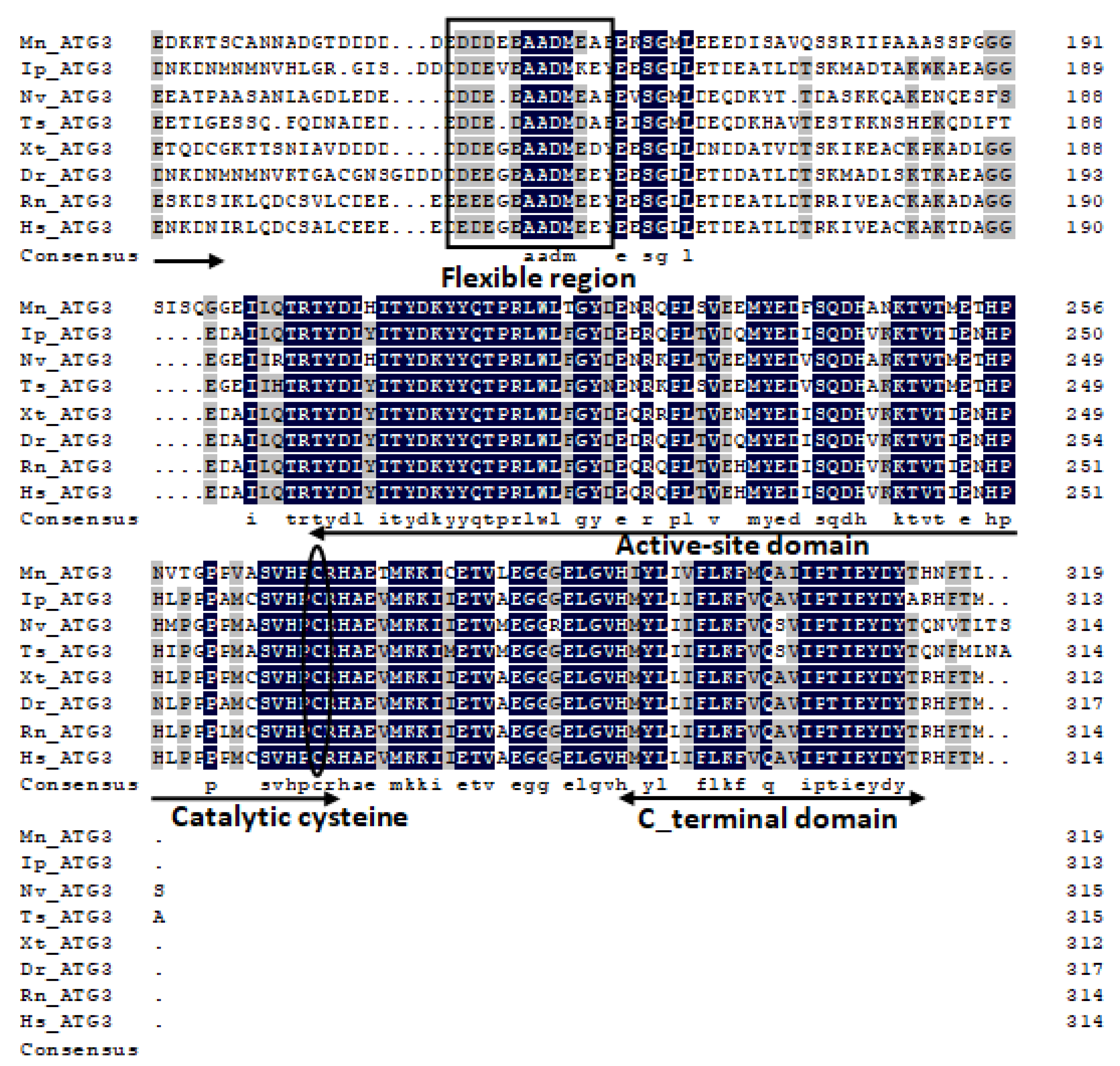 Ijms 20 01856 g0a1b