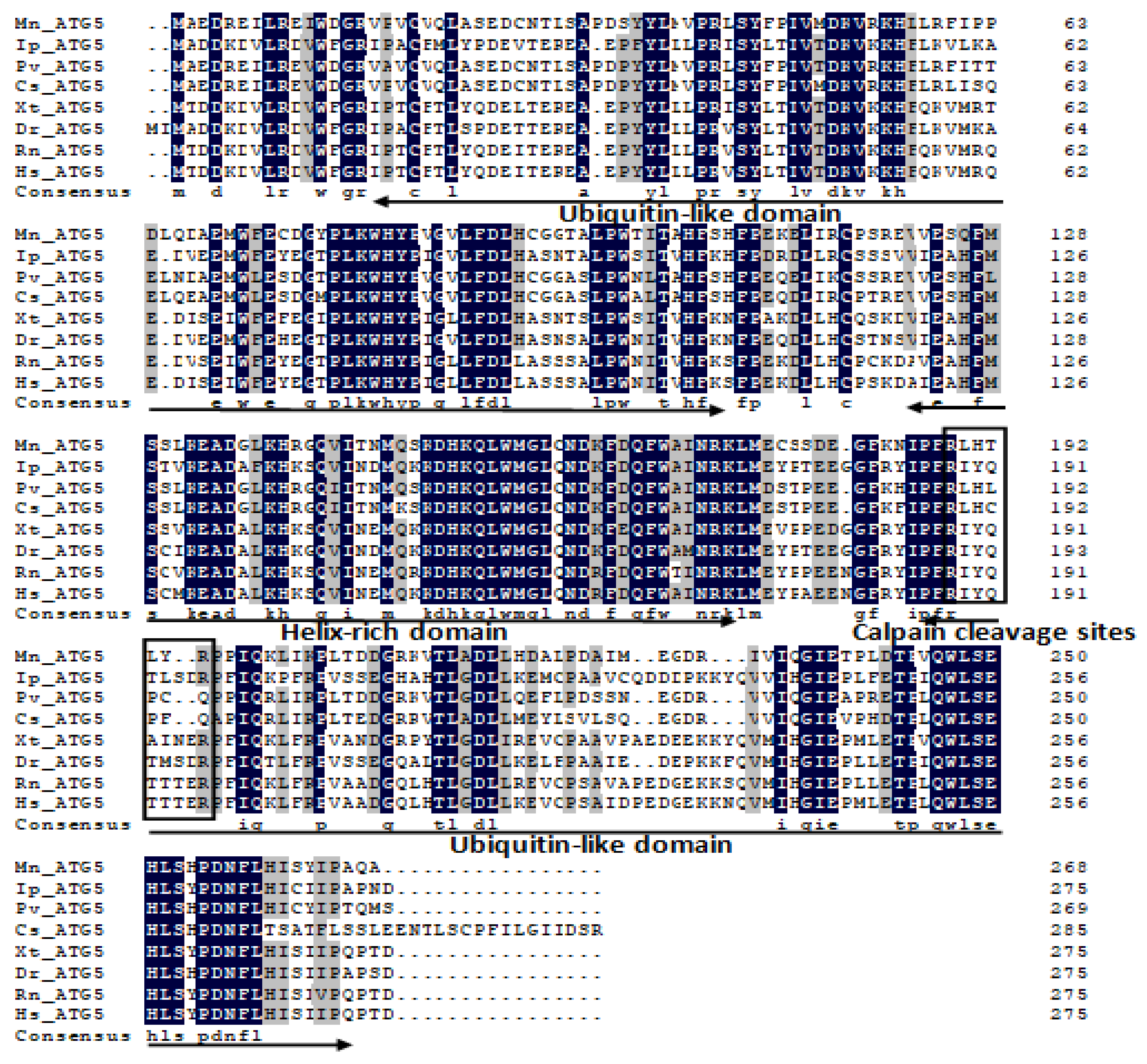 Ijms 20 01856 g0a3
