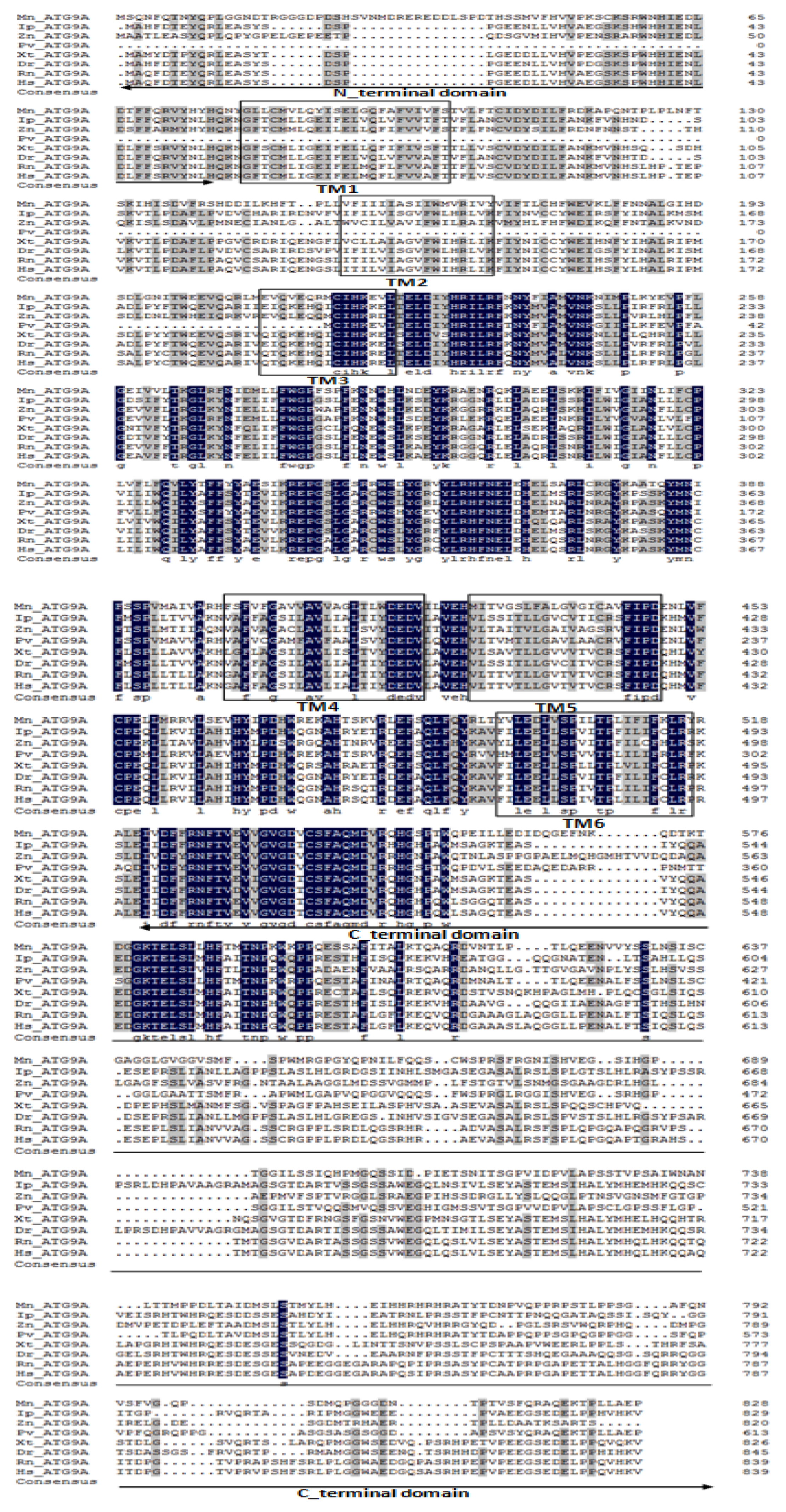 Ijms 20 01856 g0a4