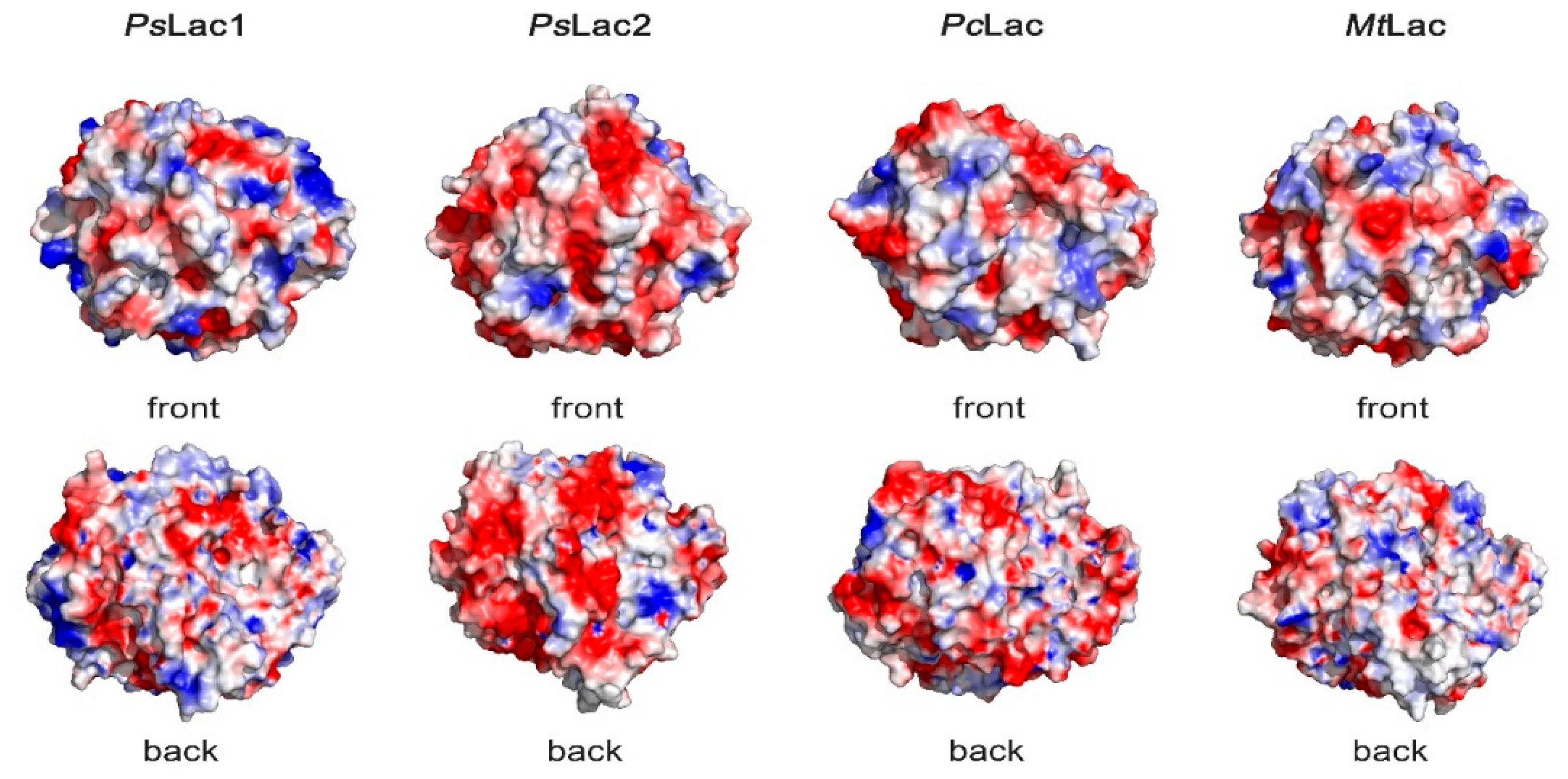 Ijms 20 01864 g007 Ijms 20 01864 g007