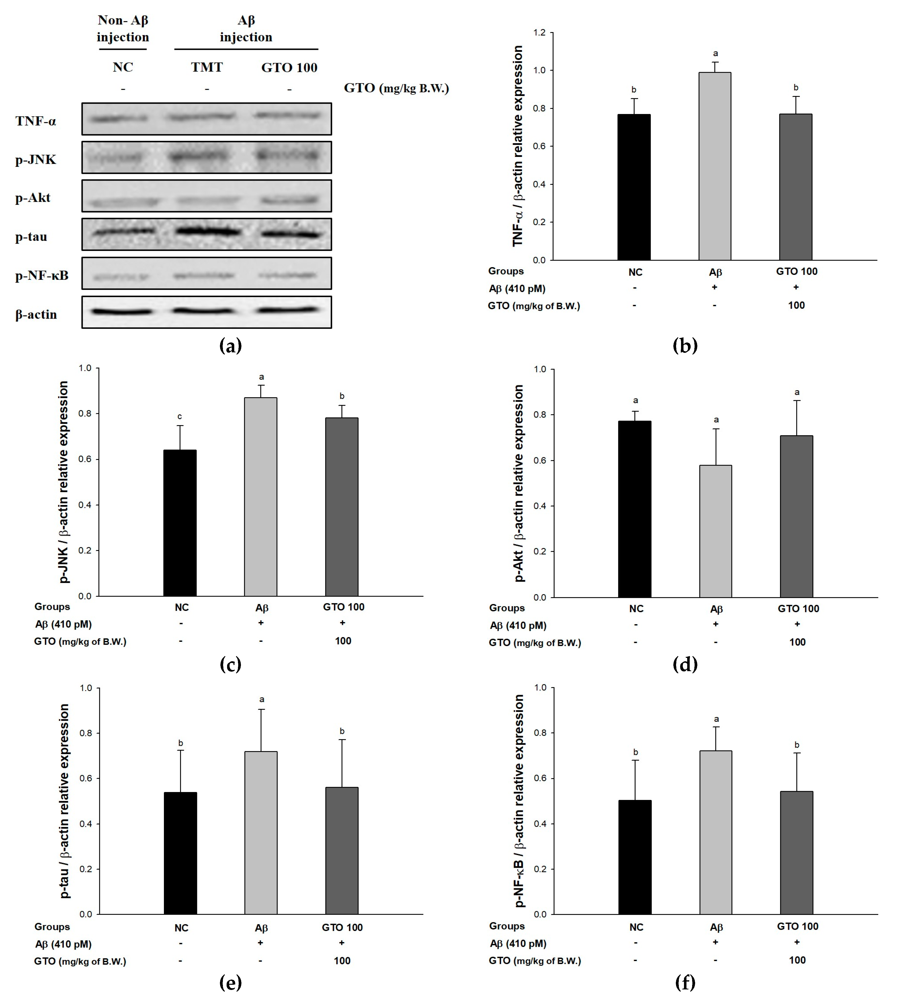 Ijms 20 01865 g007 Ijms 20 01865 g007