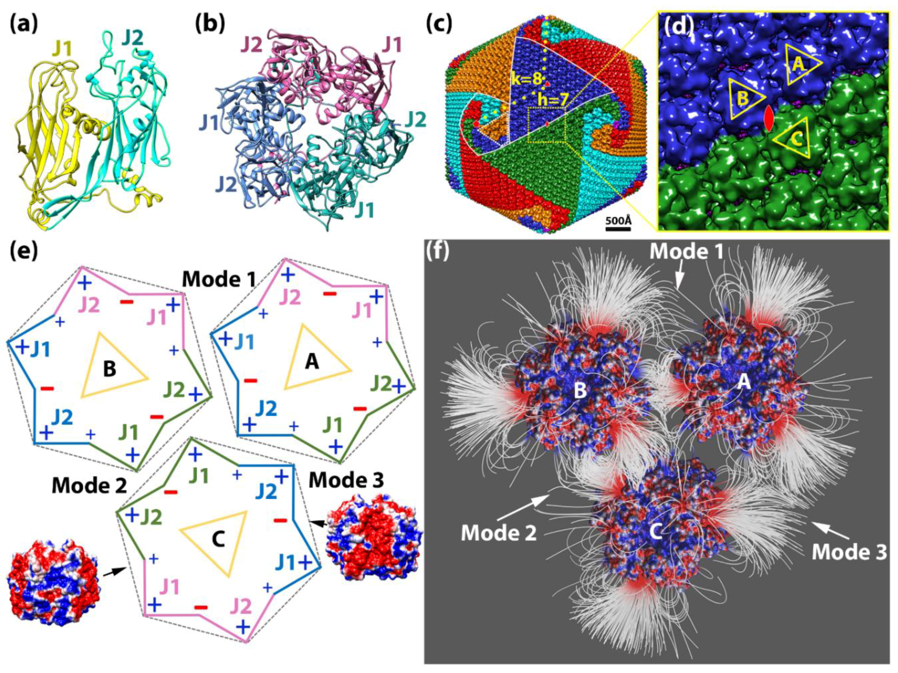 Ijms 20 01876 g001 Ijms 20 01876 g001