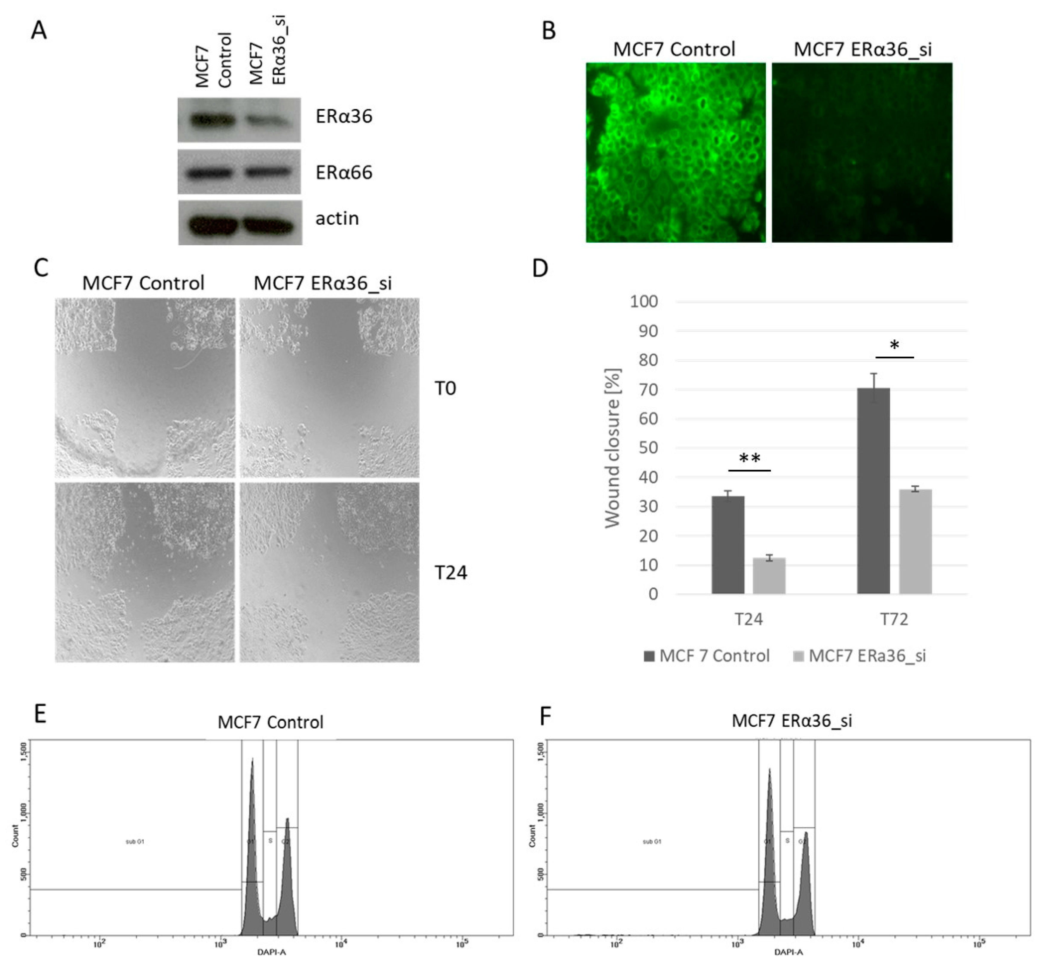 Ijms 20 01881 g009 Ijms 20 01881 g009