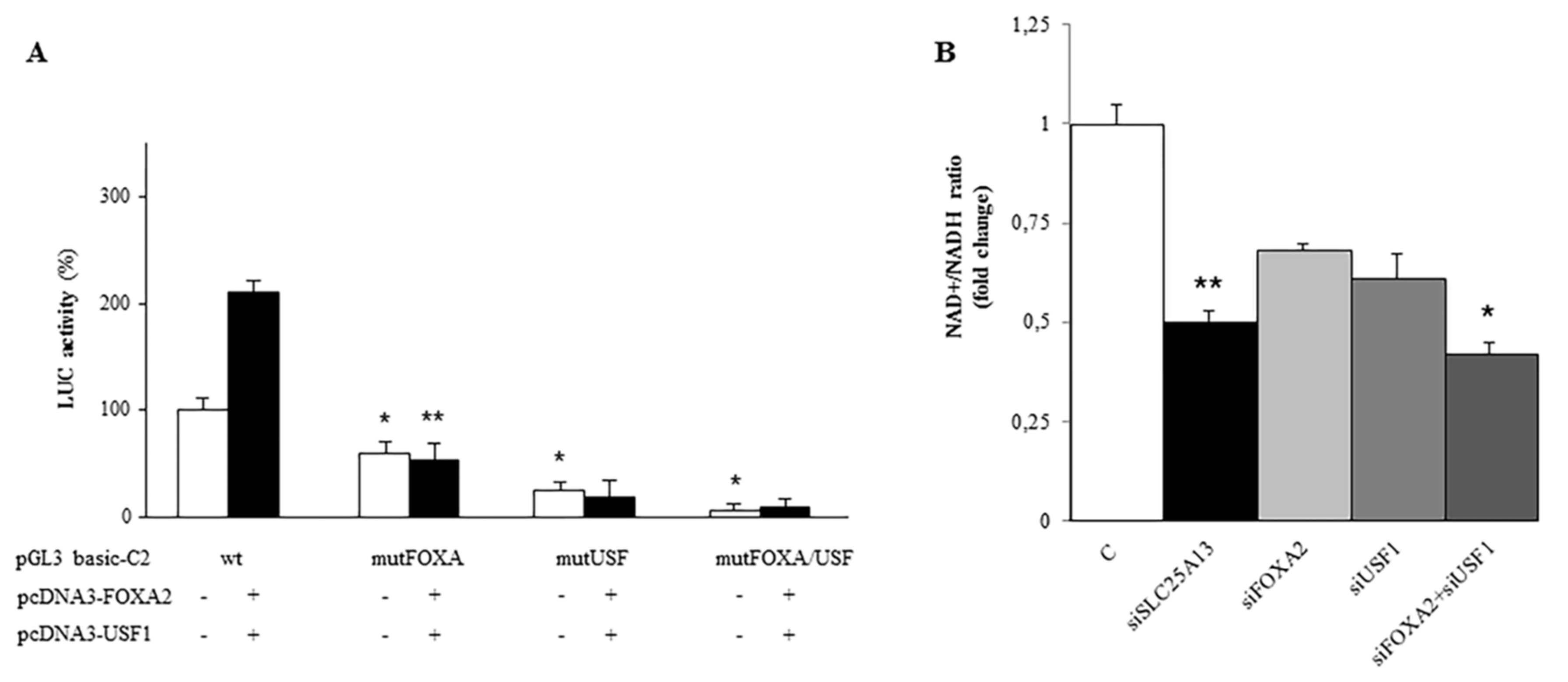 Ijms 20 01888 g005 Ijms 20 01888 g005