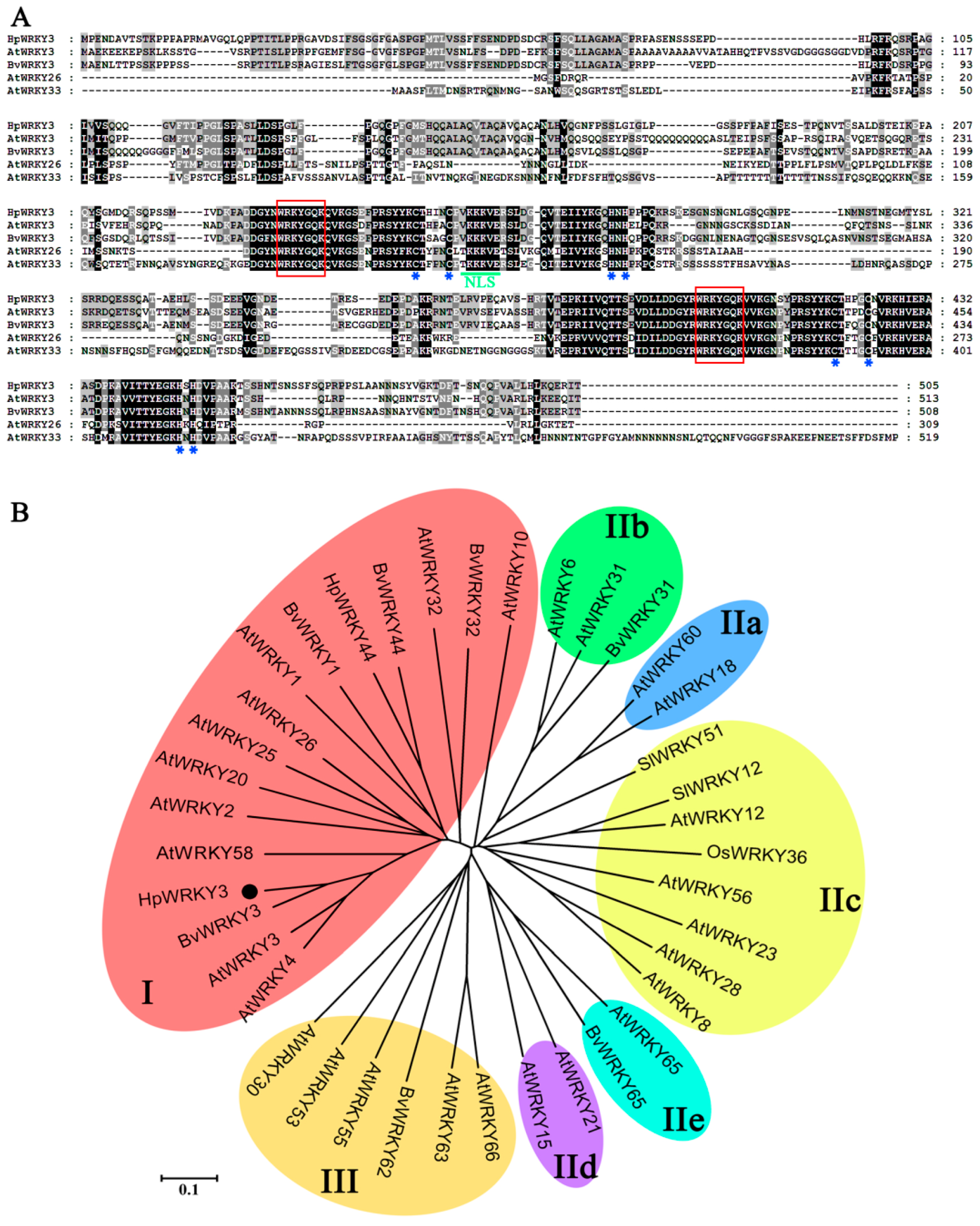 Ijms 20 01890 g004 Ijms 20 01890 g004