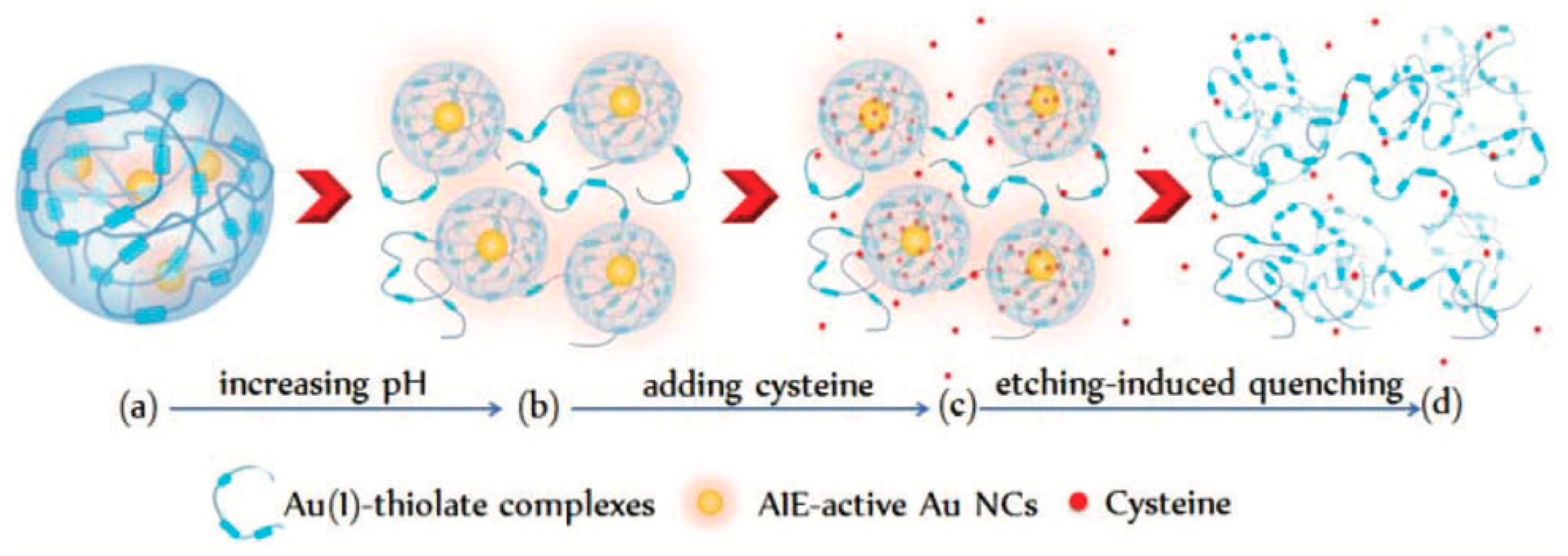 Ijms 20 01891 g002 550