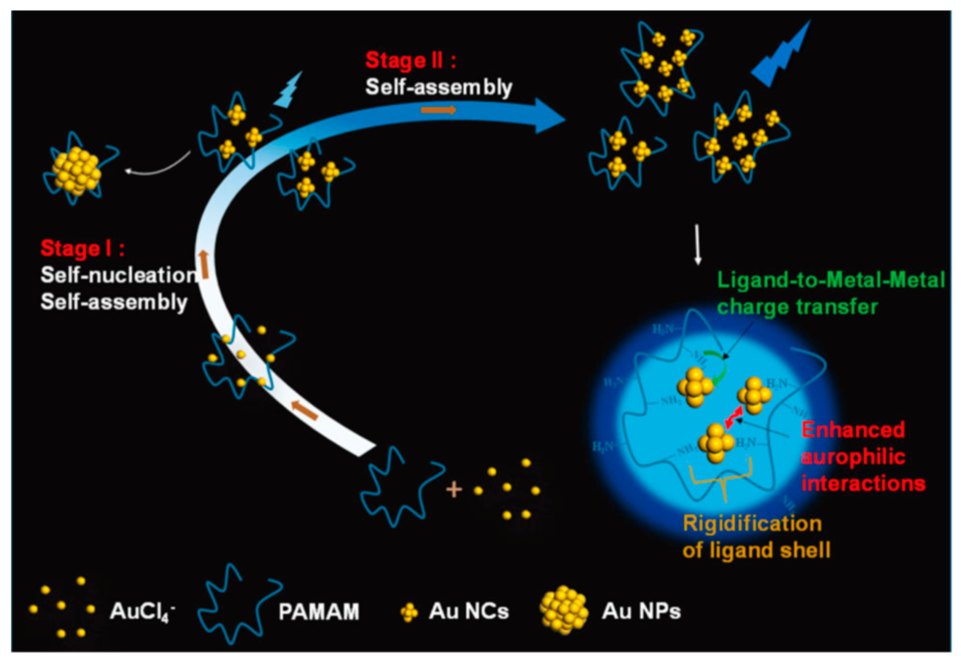 Ijms 20 01891 g003 550