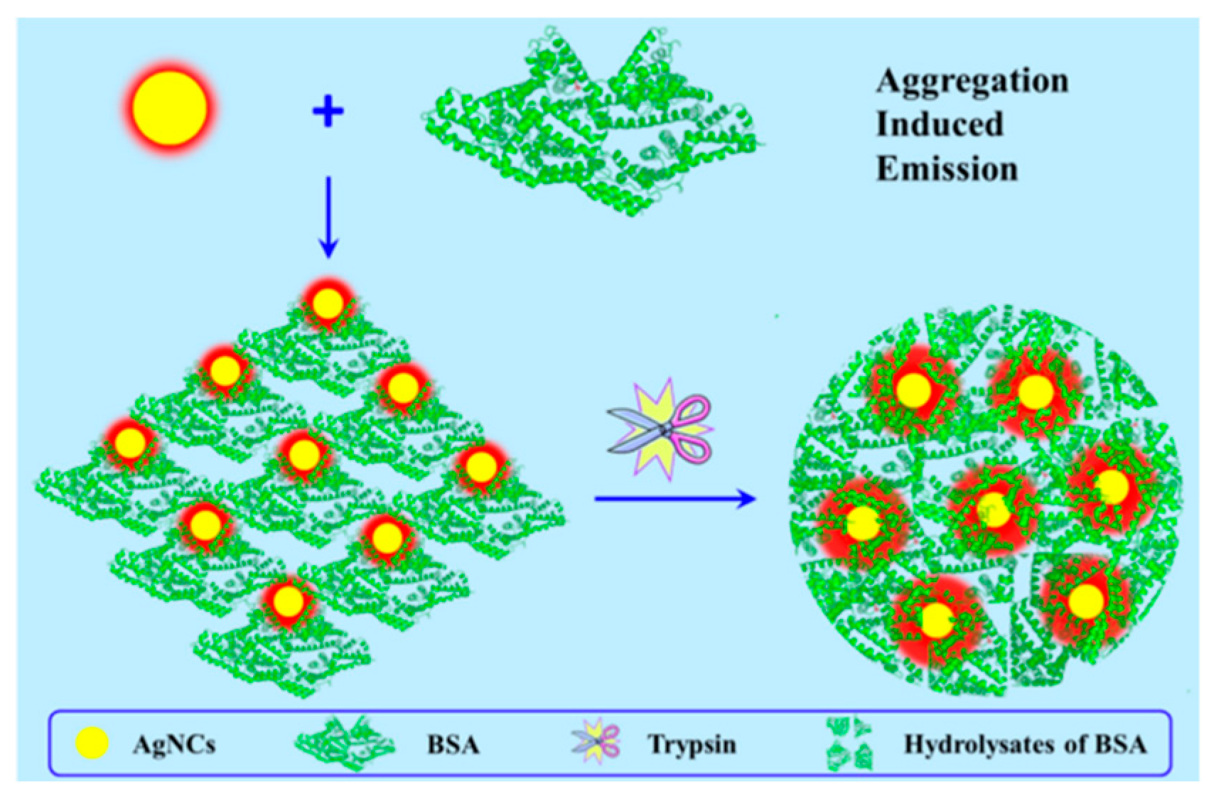 Ijms 20 01891 g005 550