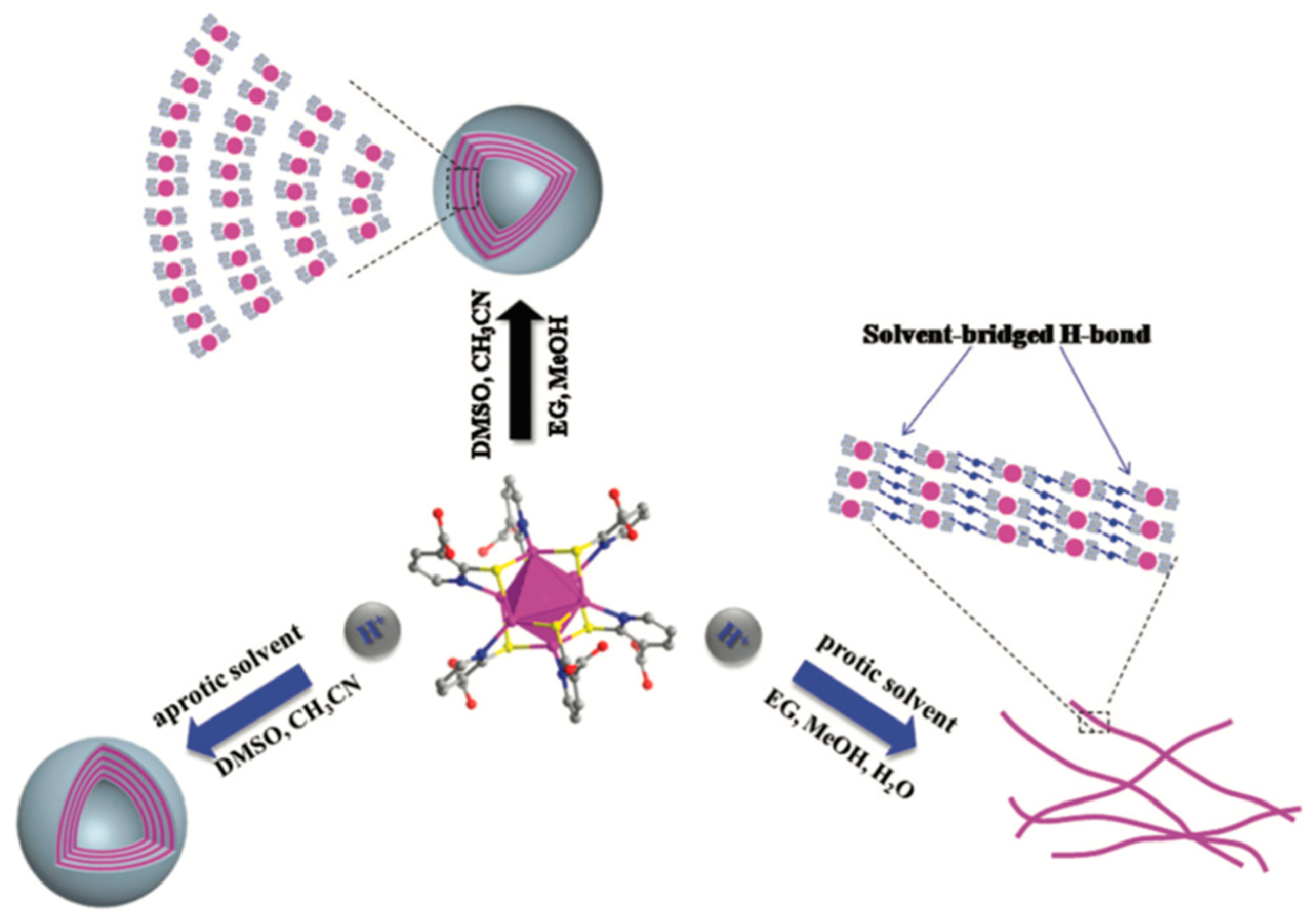 Ijms 20 01891 g006 550