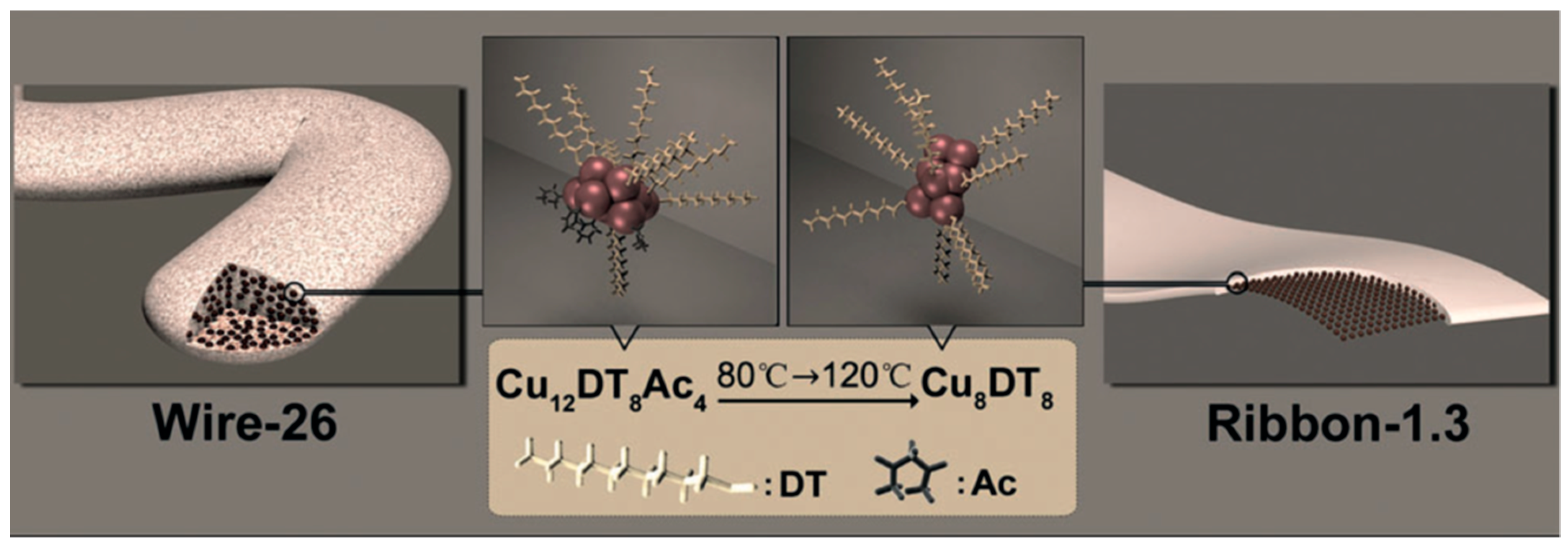 Ijms 20 01891 g008 550