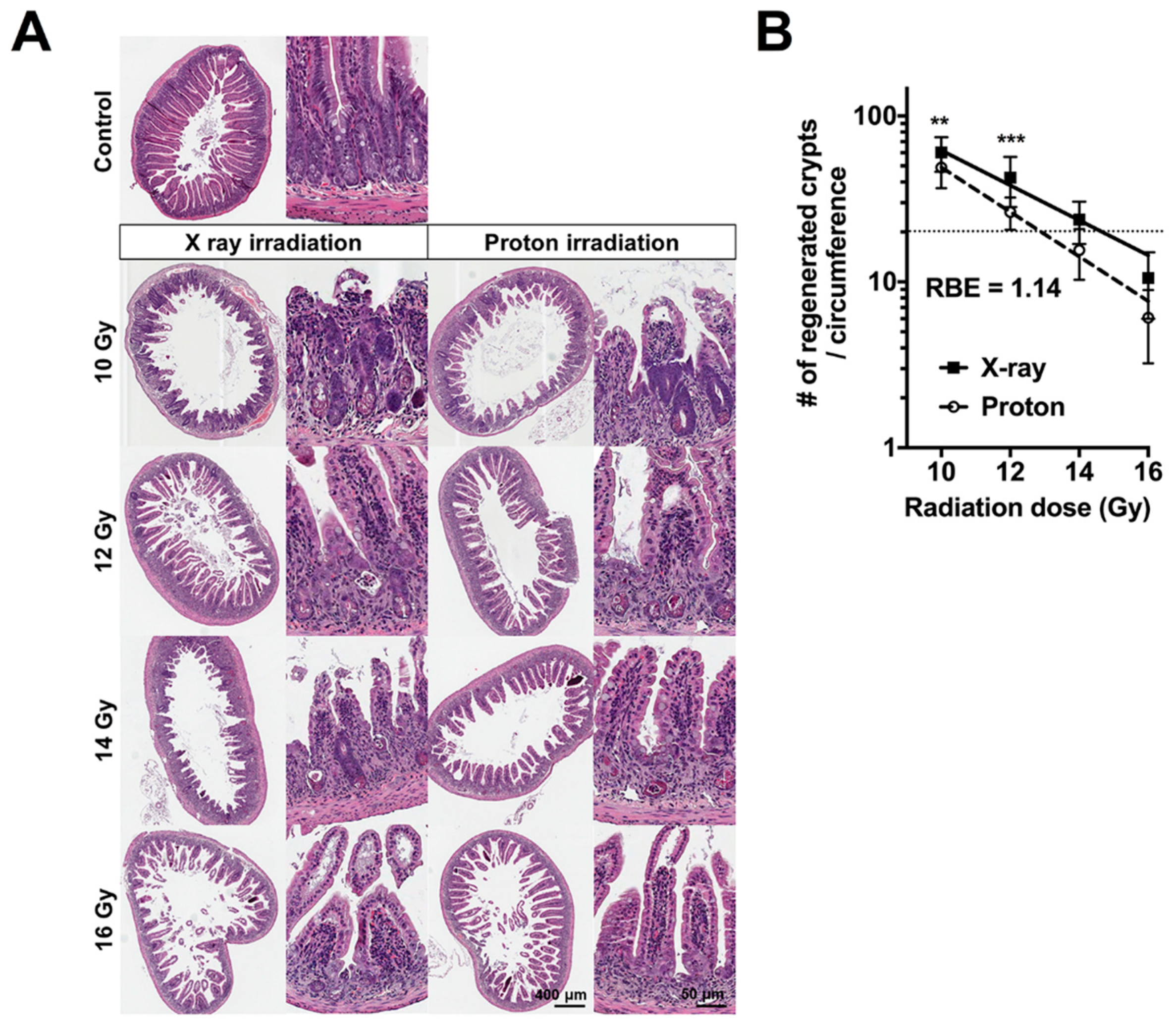 Ijms 20 01894 g001 Ijms 20 01894 g001