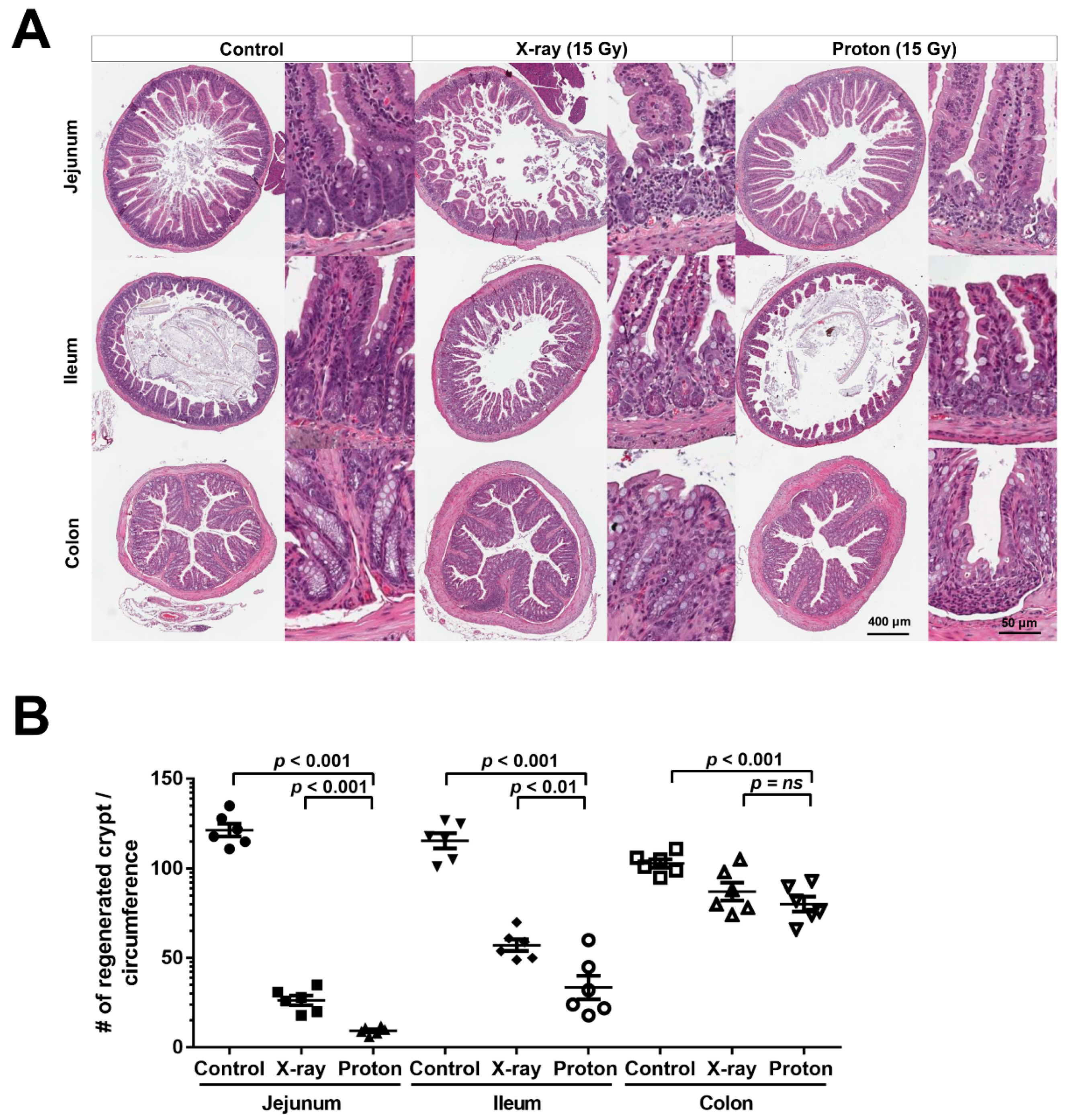 Ijms 20 01894 g002 Ijms 20 01894 g002