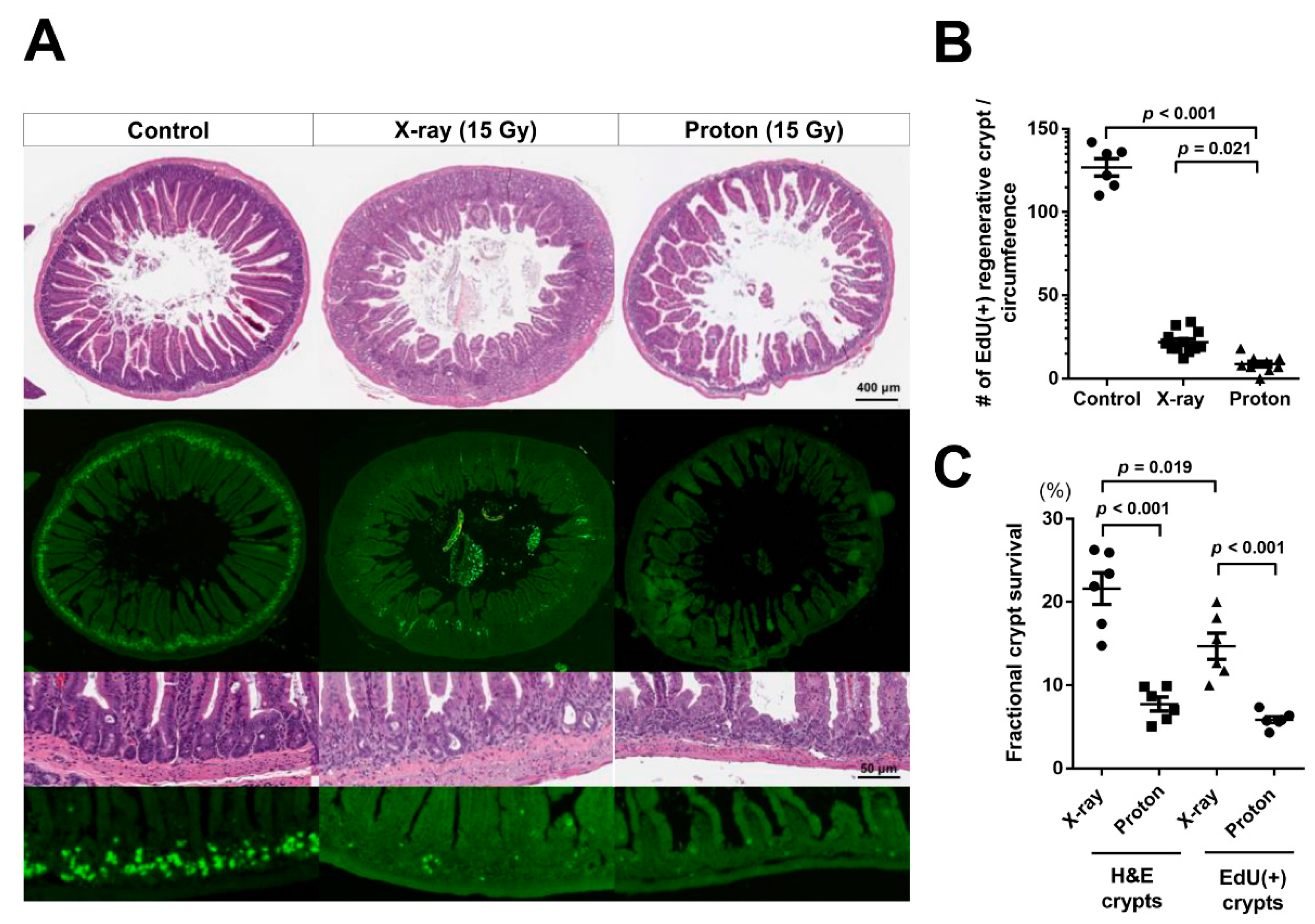 Ijms 20 01894 g003 Ijms 20 01894 g003