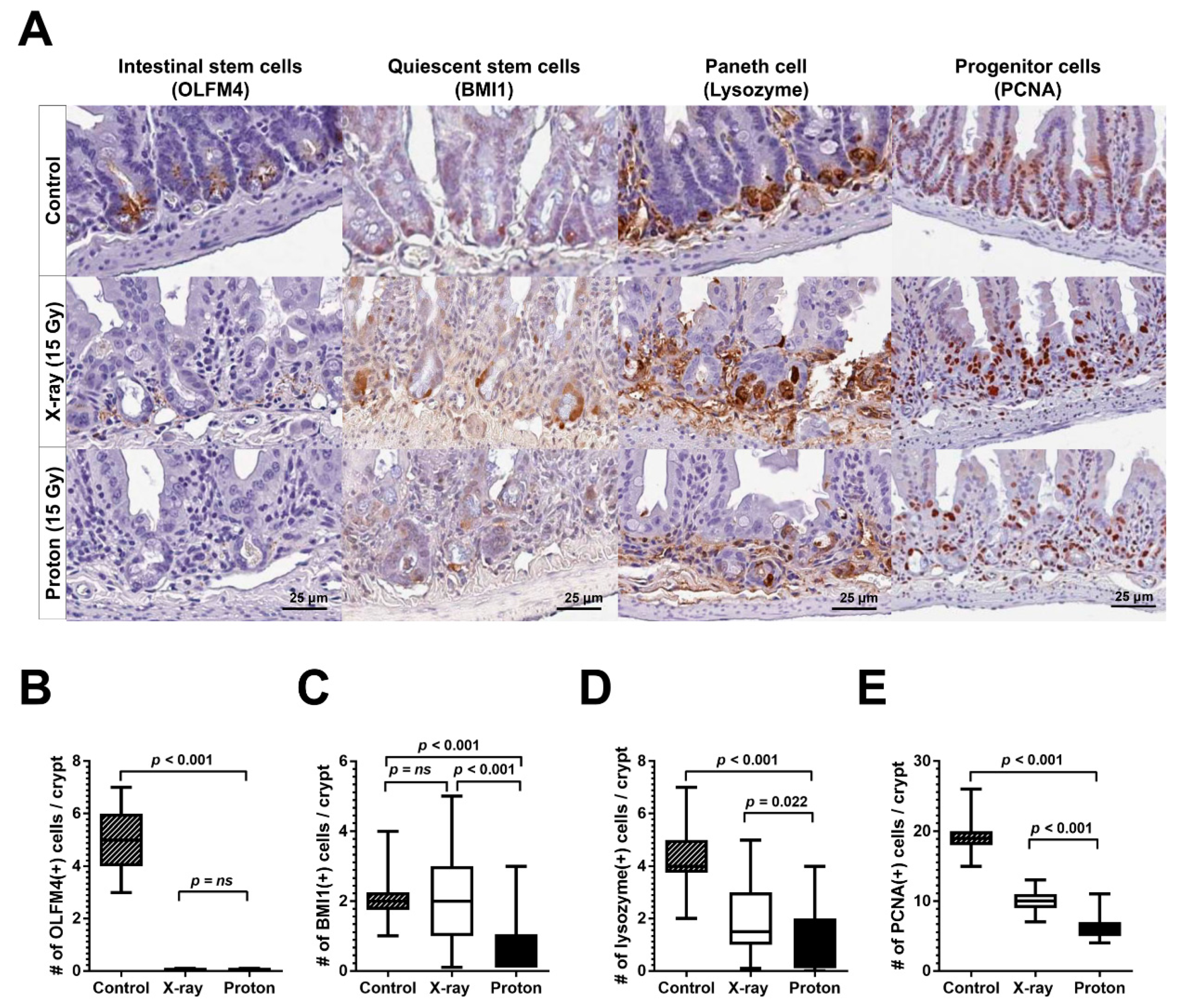 Ijms 20 01894 g004 Ijms 20 01894 g004