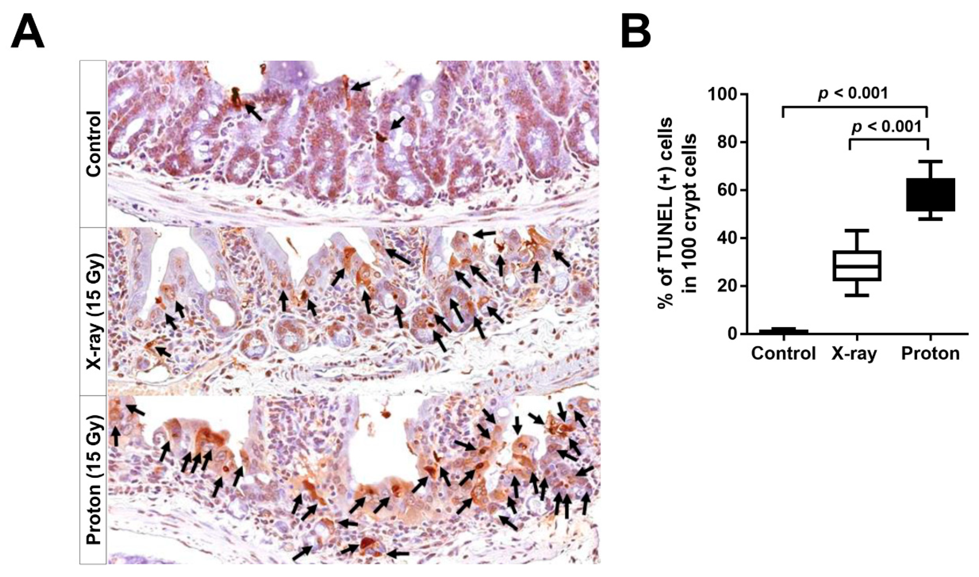 Ijms 20 01894 g005 Ijms 20 01894 g005
