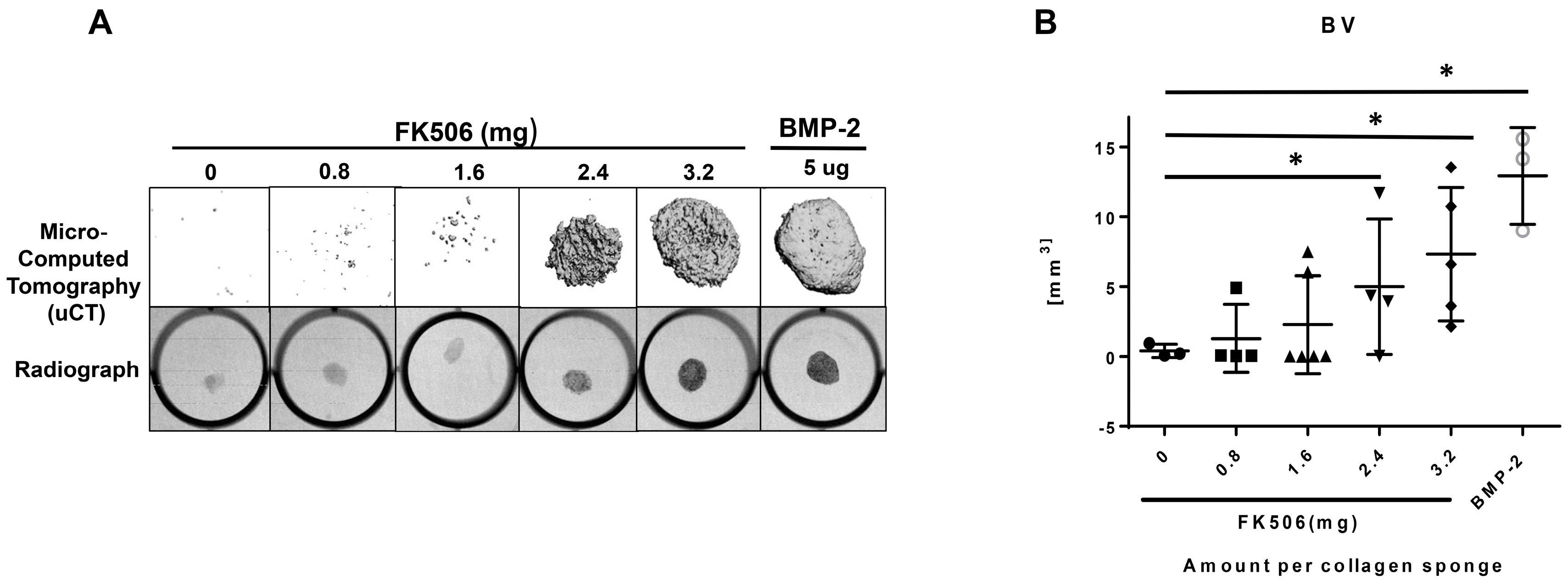 Ijms 20 01900 g007