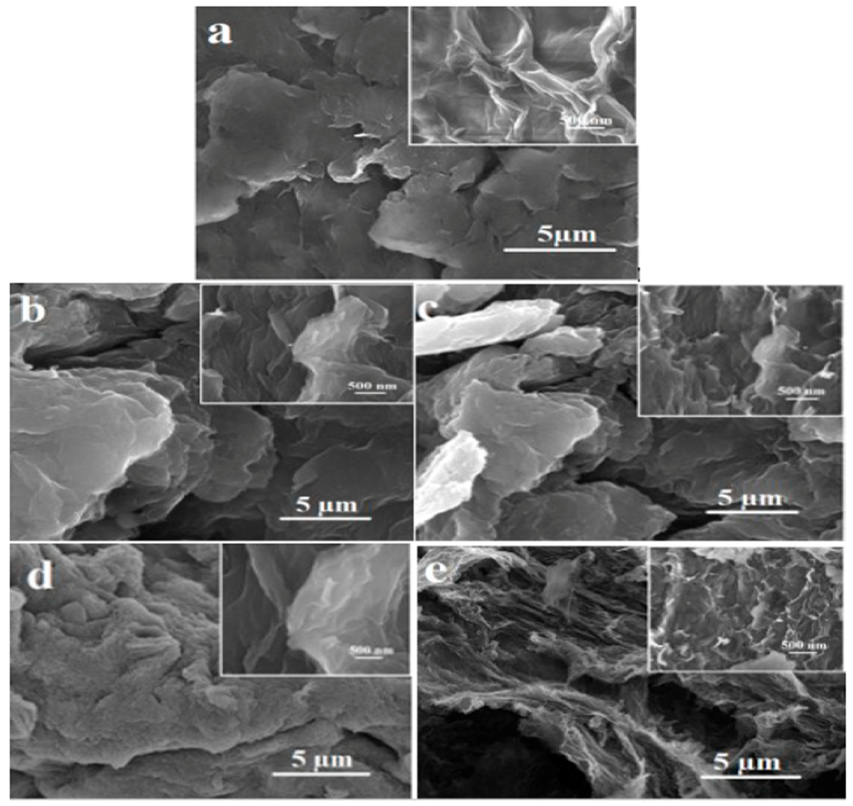 Ijms 20 01910 g006 Ijms 20 01910 g006