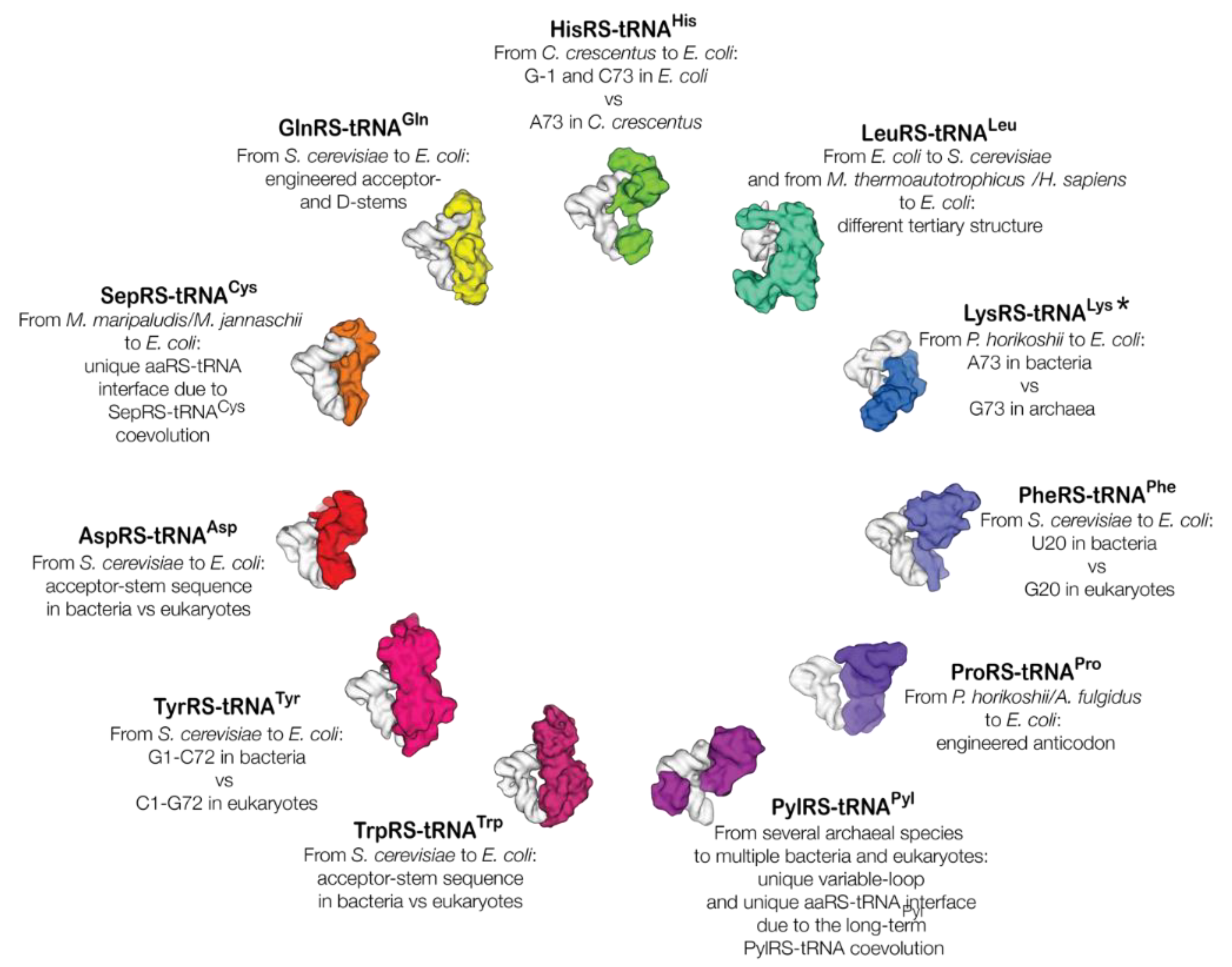 Ijms 20 01929 g001 Ijms 20 01929 g001