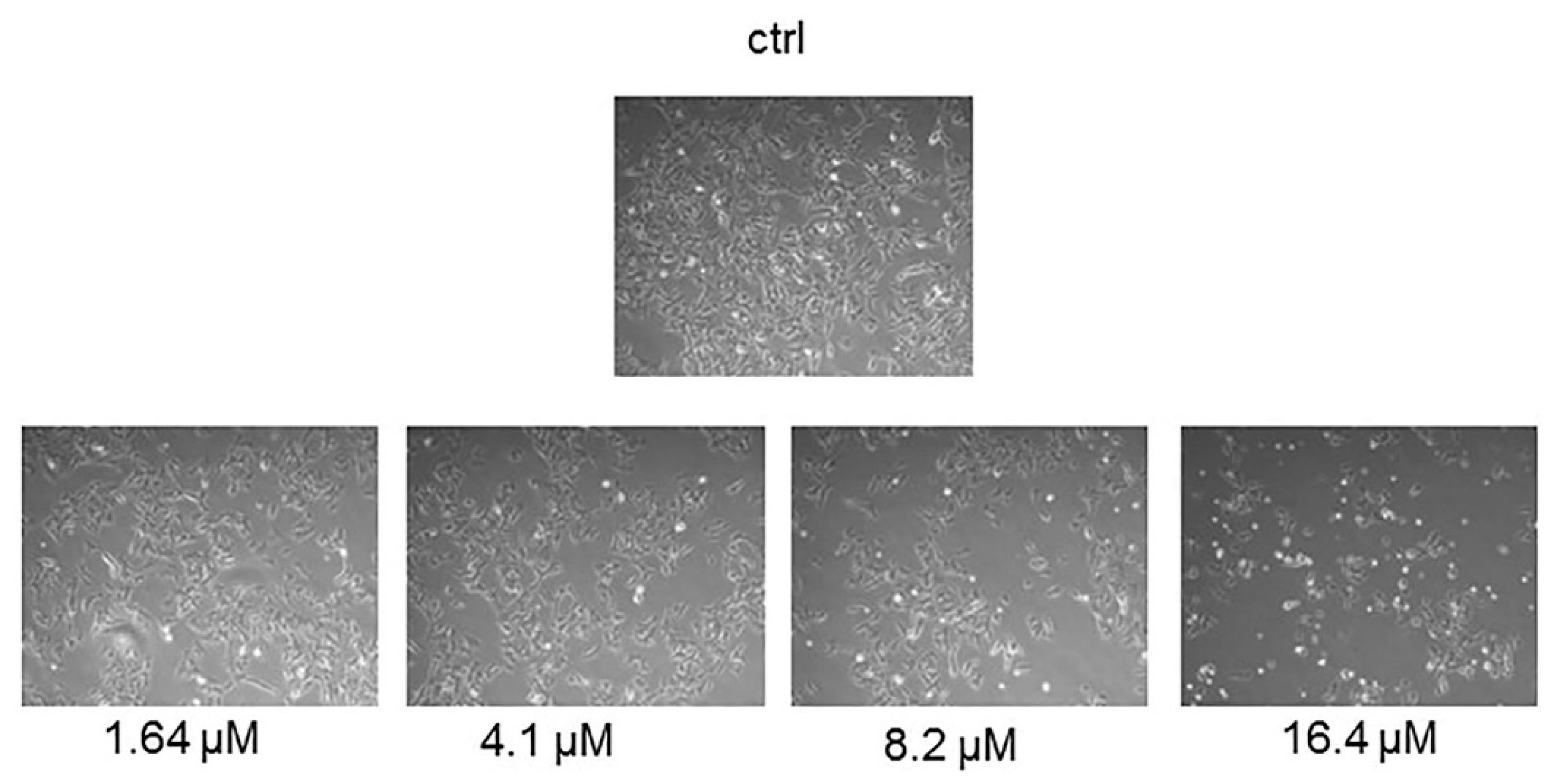 Ijms 20 01930 g003 Ijms 20 01930 g003
