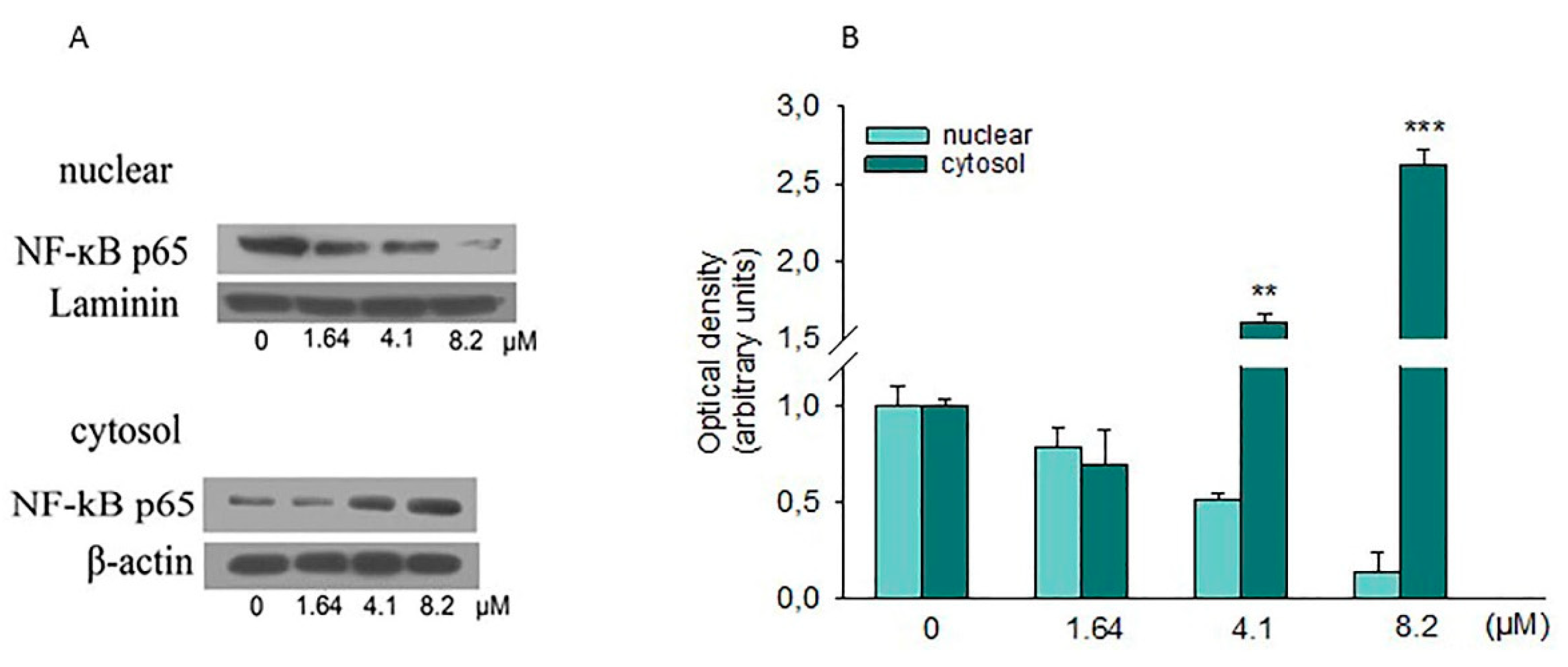 Ijms 20 01930 g008 Ijms 20 01930 g008