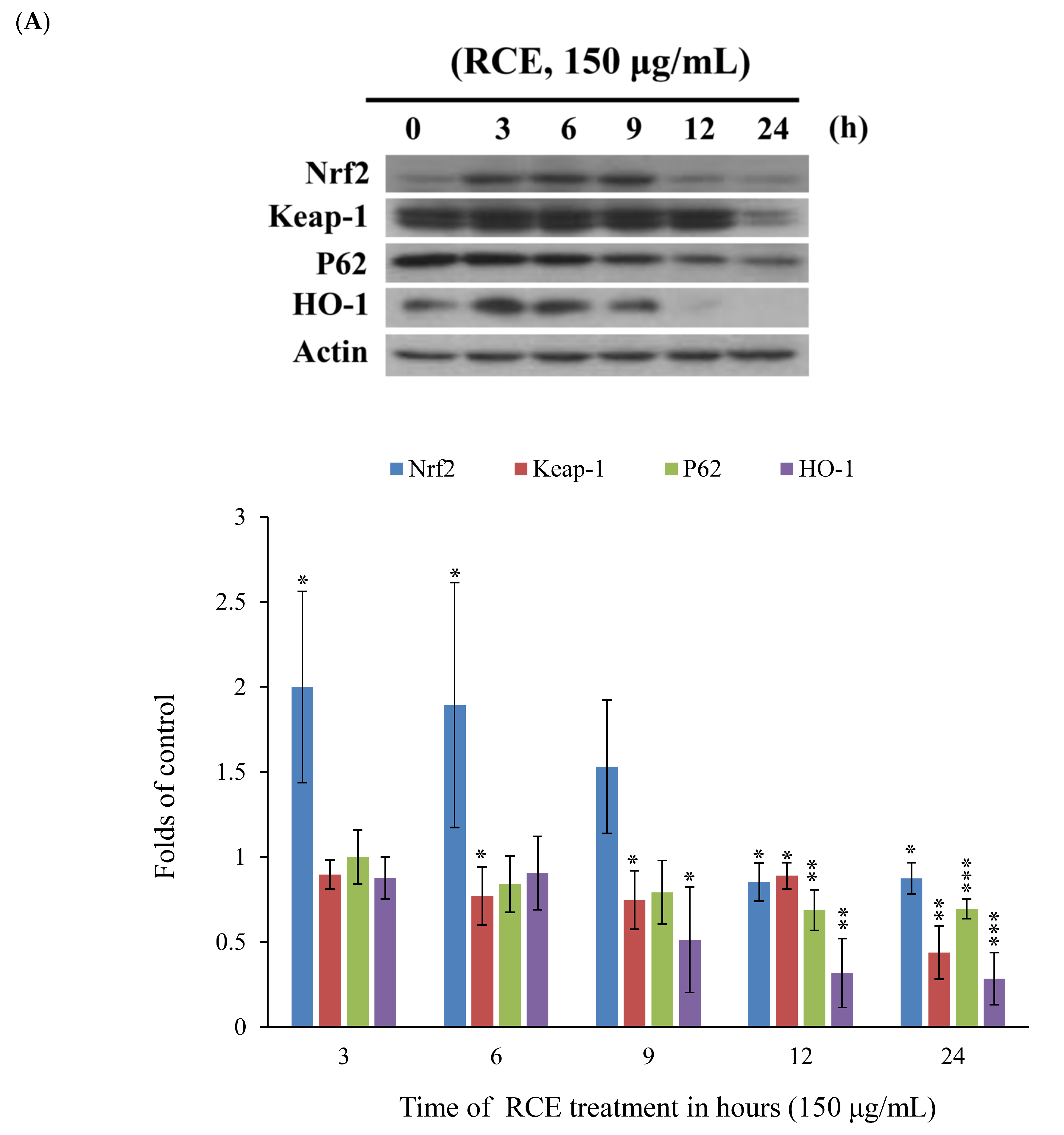 Ijms 20 01935 g005a