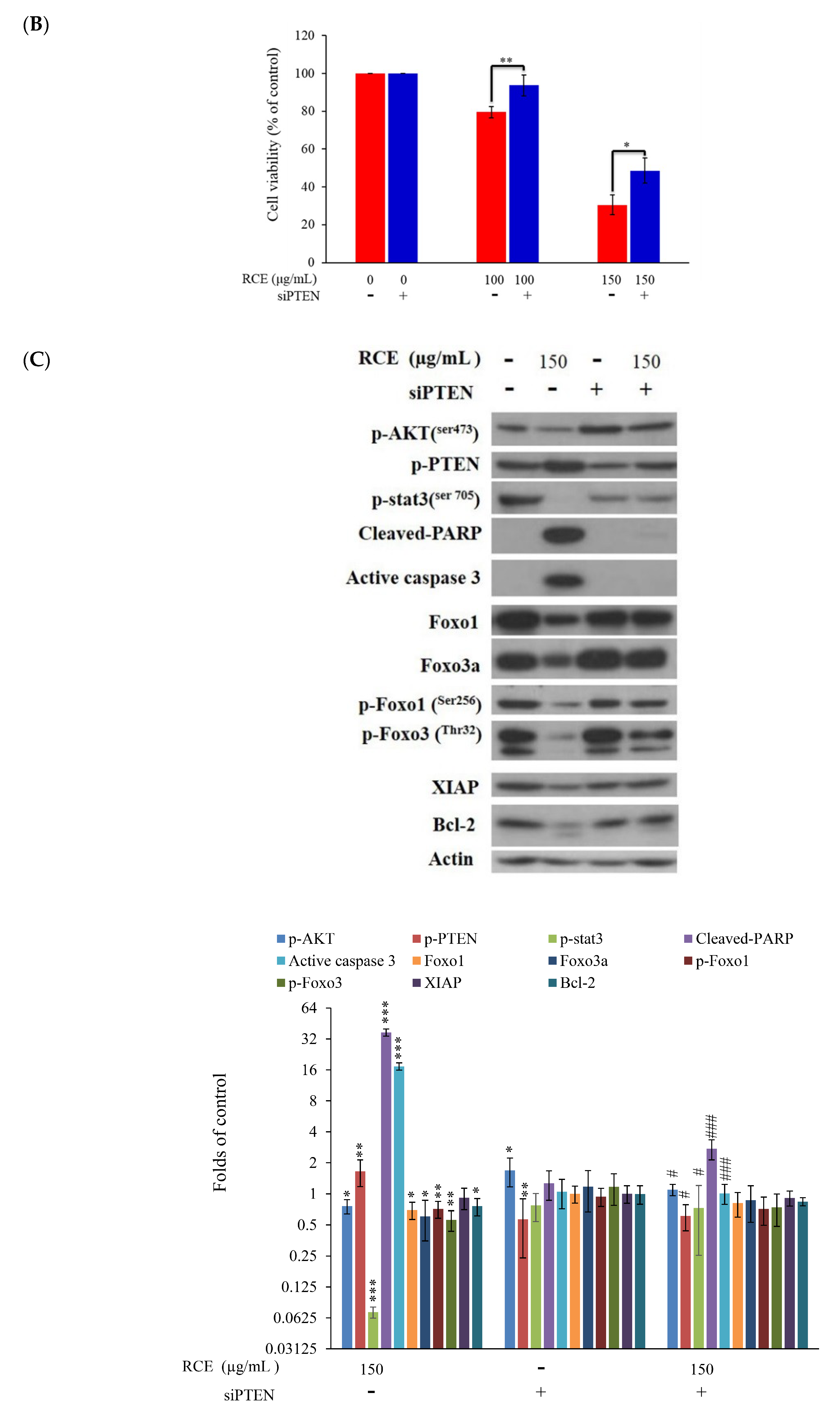 Ijms 20 01935 g006b