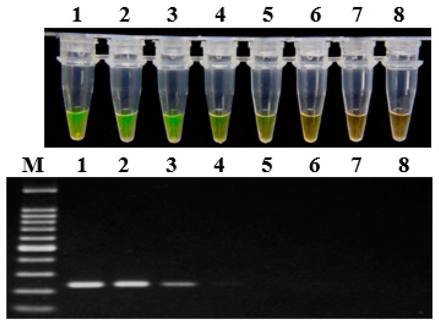 Ijms 20 01937 g003 Ijms 20 01937 g003