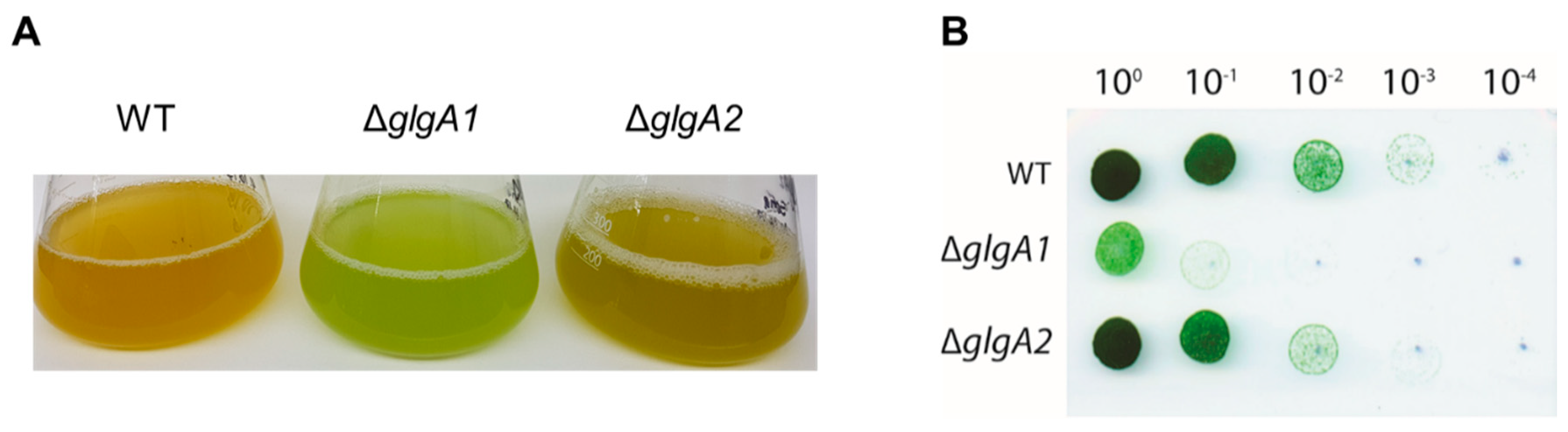 Ijms 20 01942 g002 Ijms 20 01942 g002