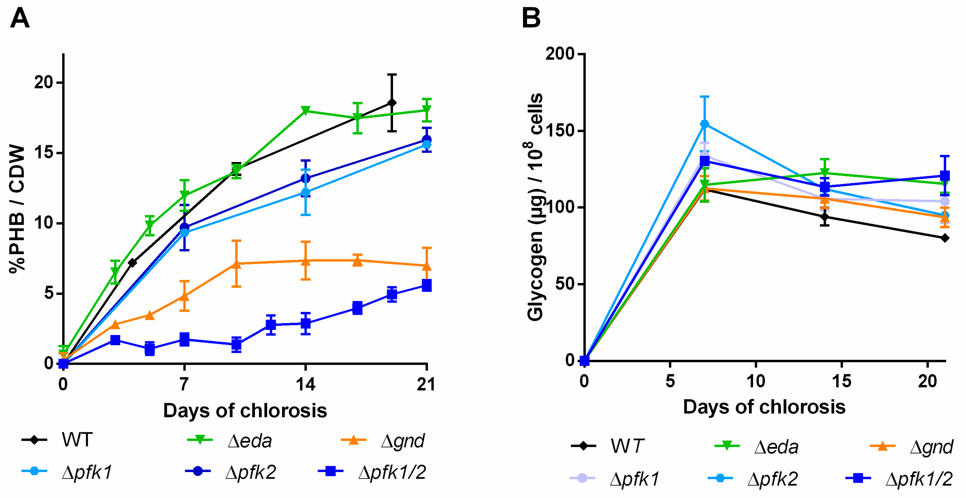 Ijms 20 01942 g006 Ijms 20 01942 g006