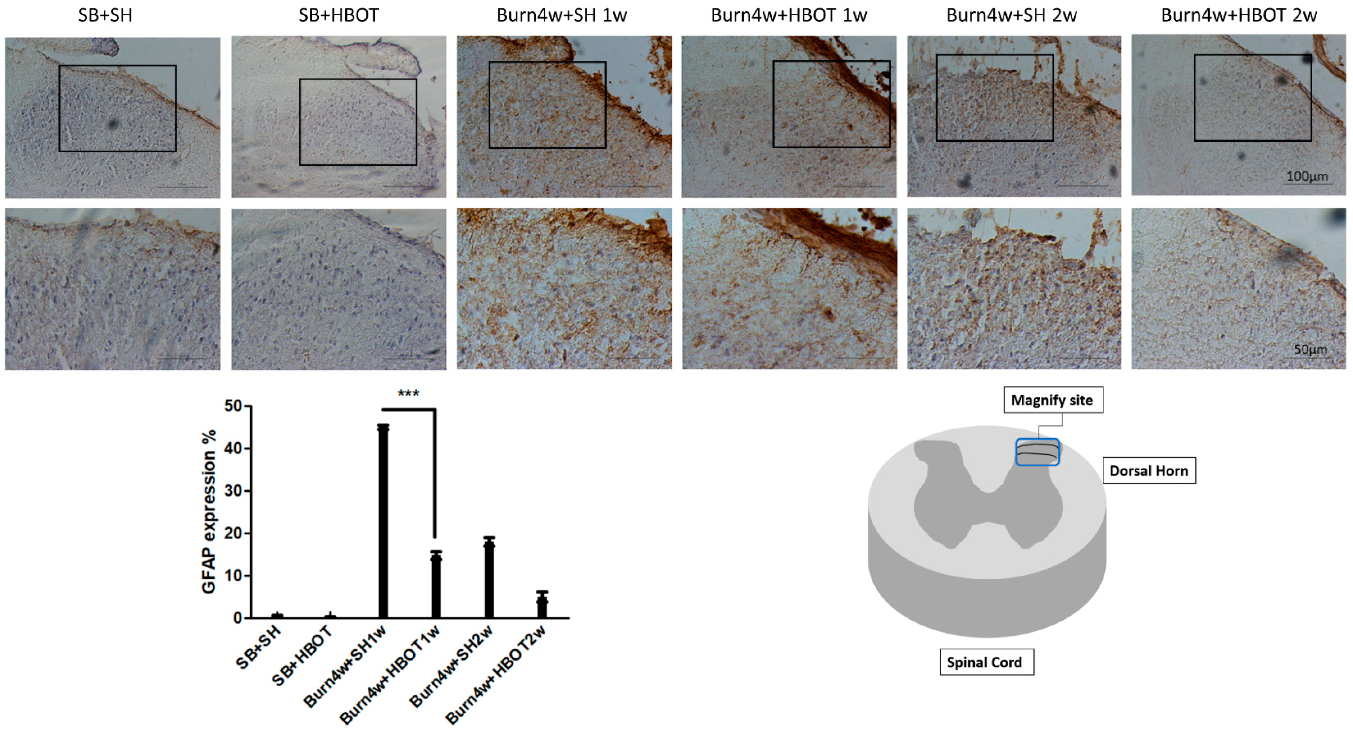 Ijms 20 01951 g005 Ijms 20 01951 g005