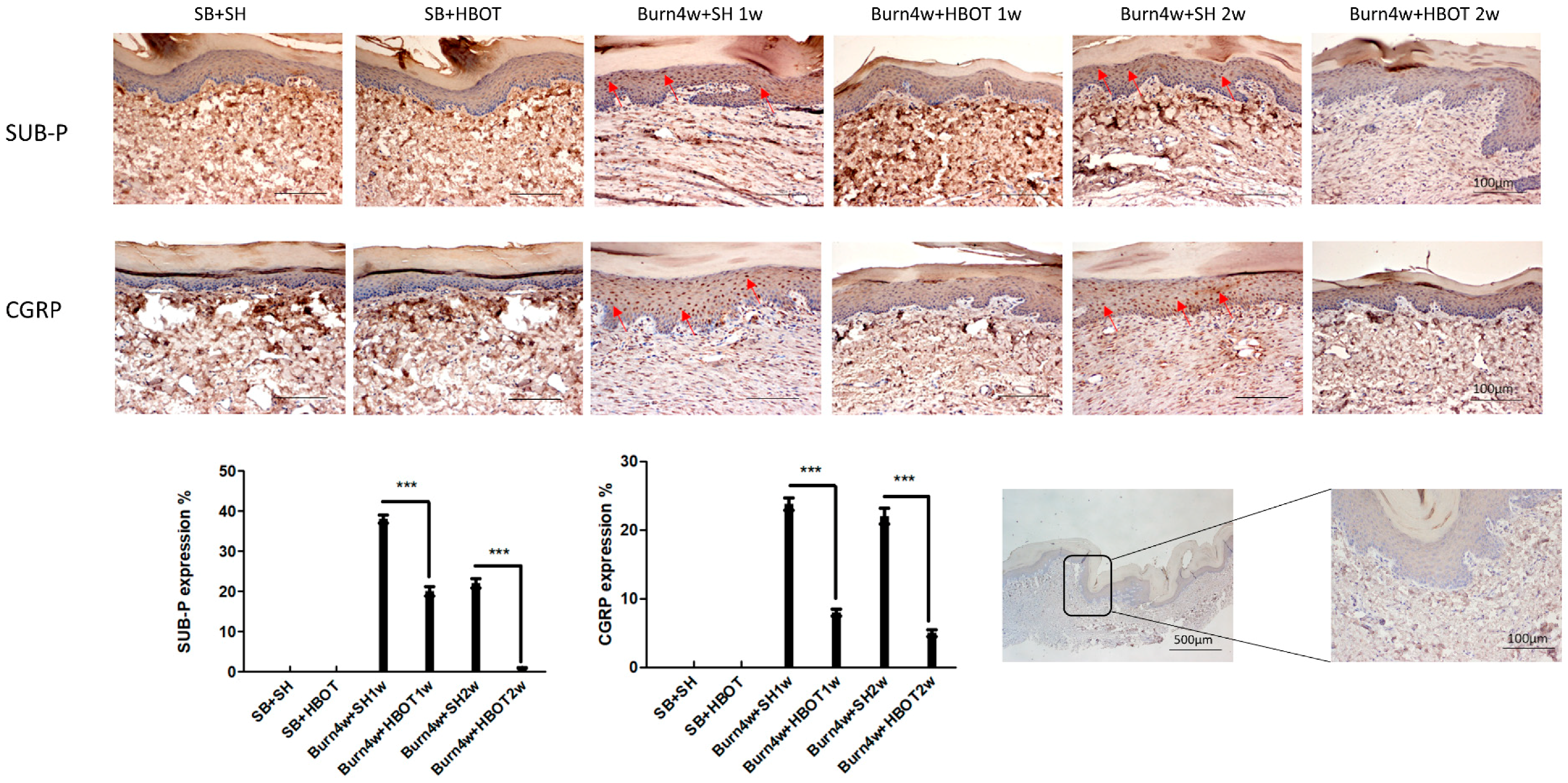 Ijms 20 01951 g007 Ijms 20 01951 g007