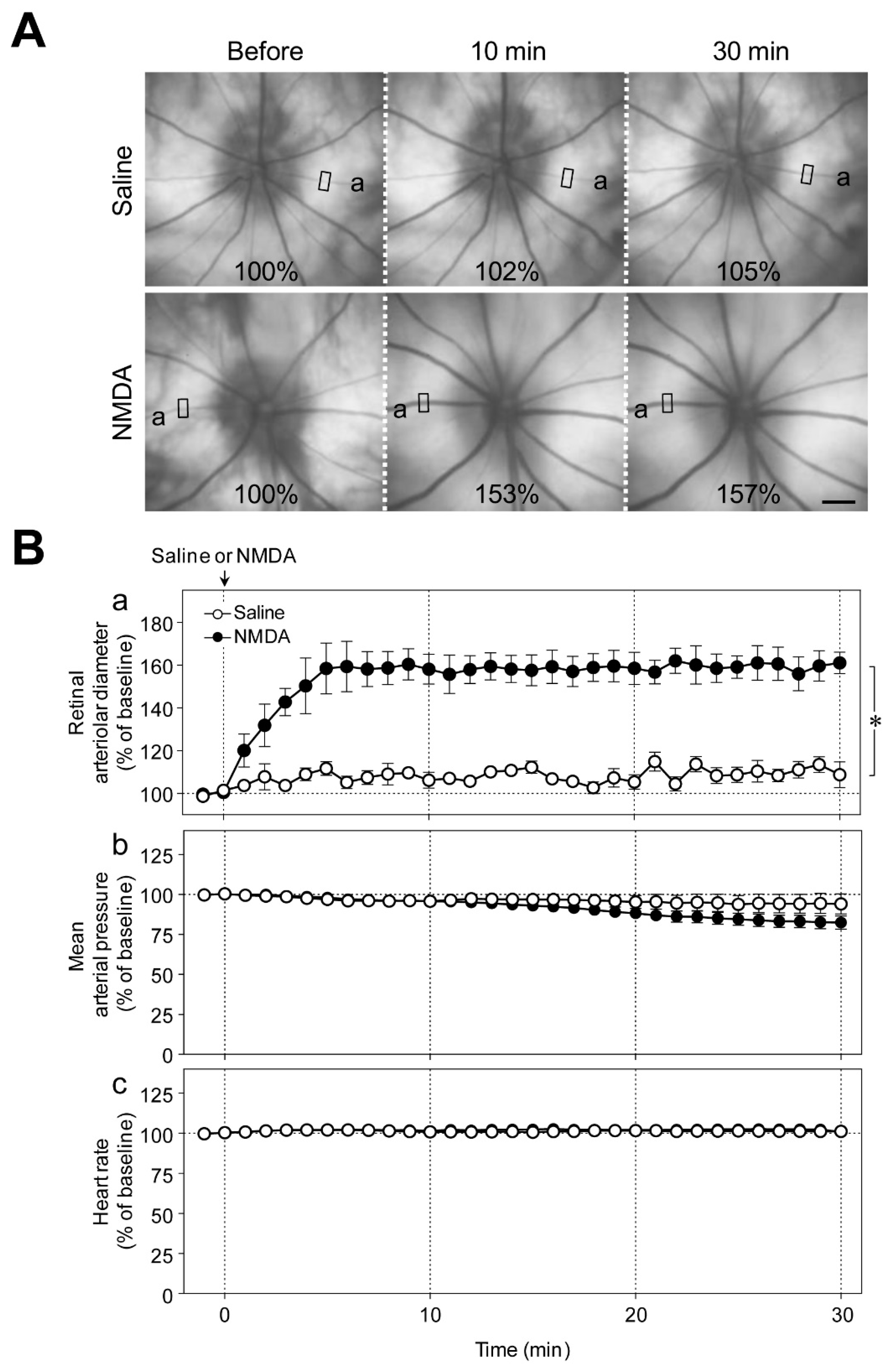 Ijms 20 01952 g001 550