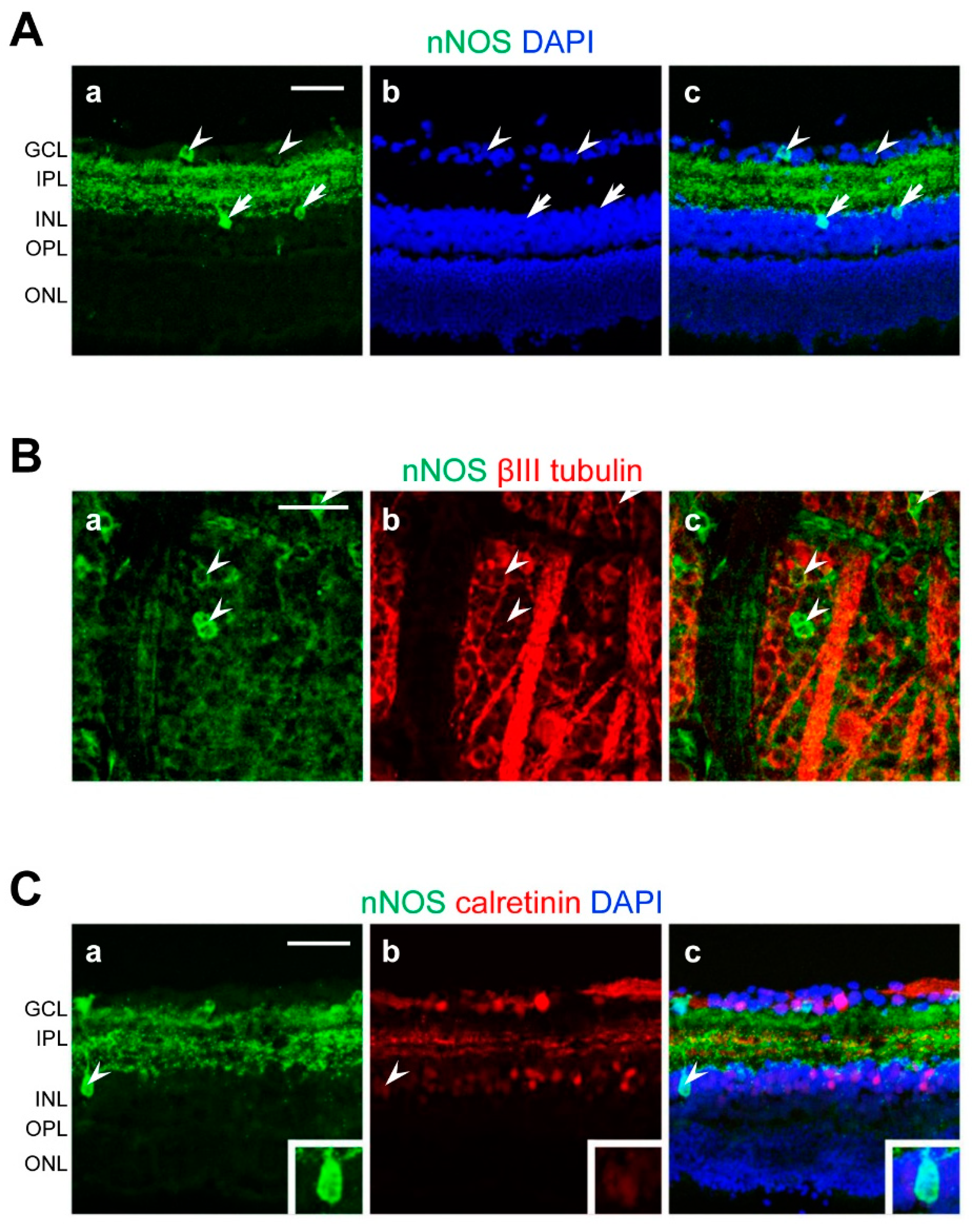 Ijms 20 01952 g003 550