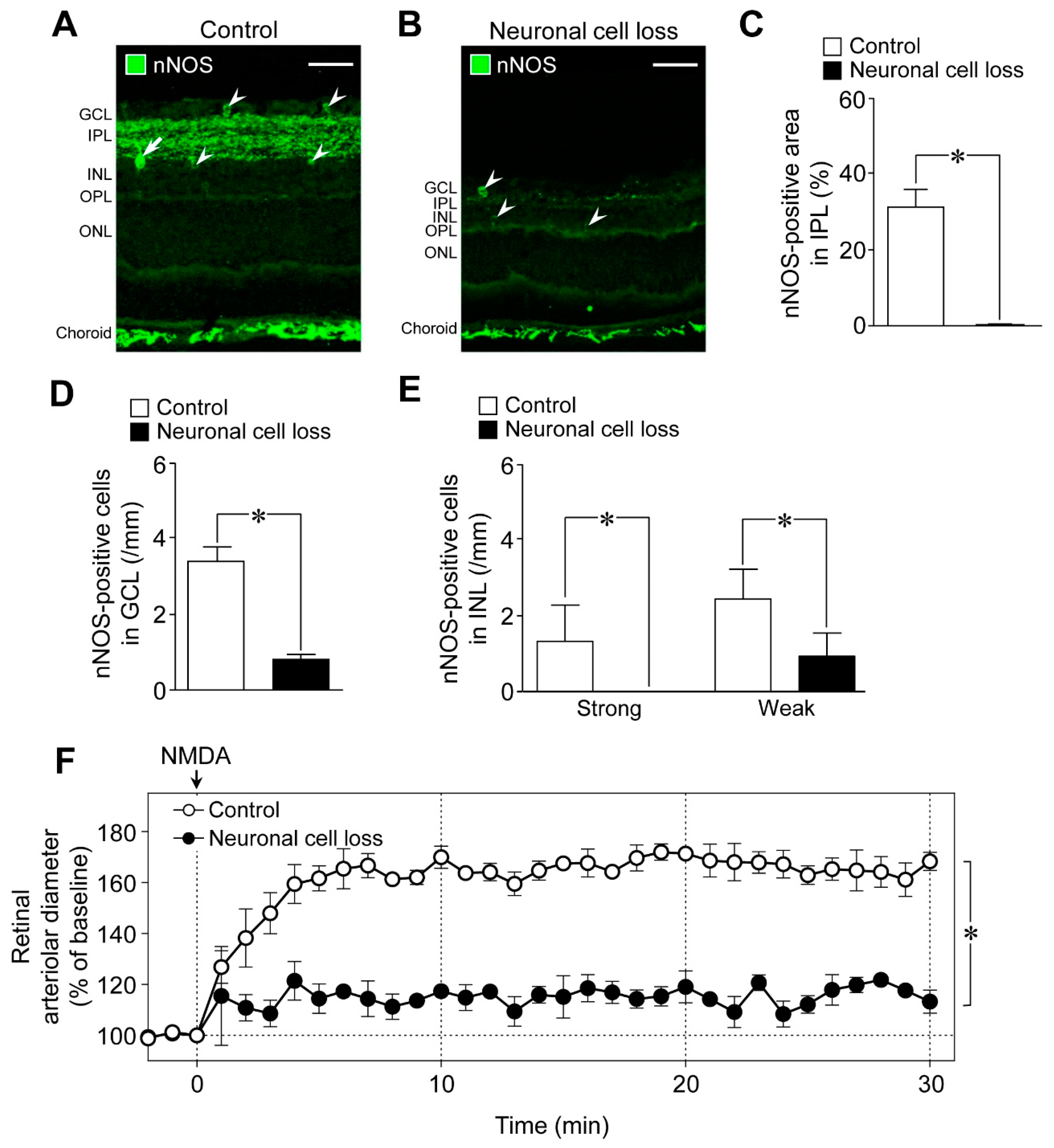 Ijms 20 01952 g004 550