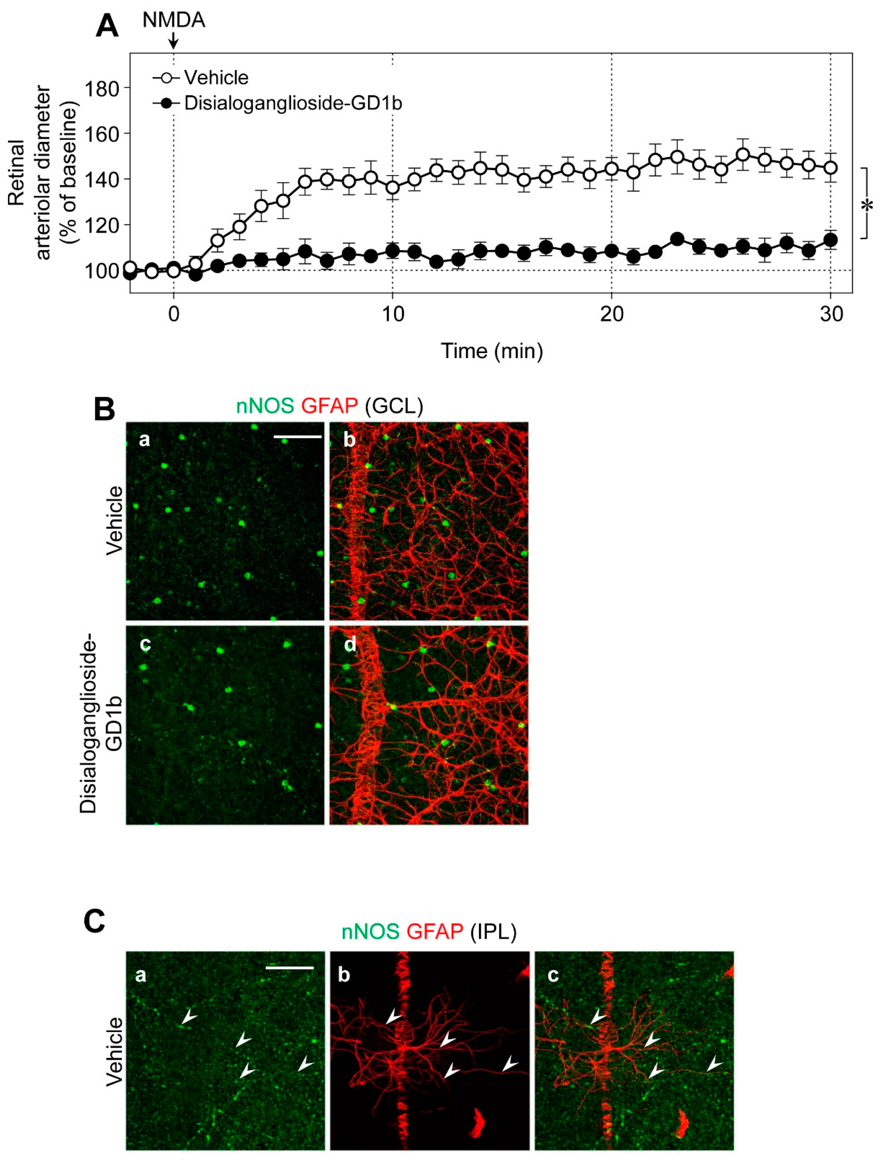 Ijms 20 01952 g005 550