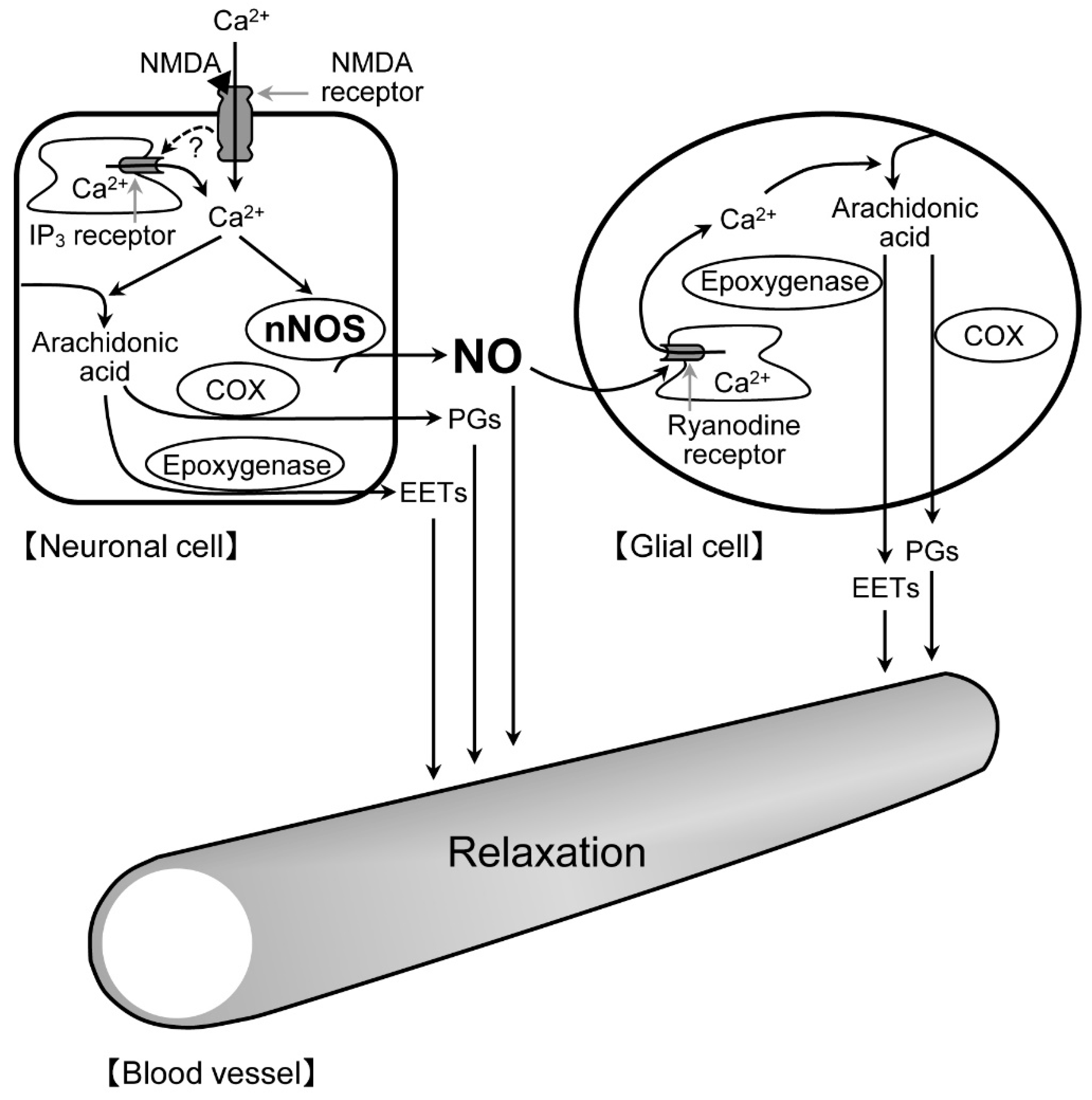 Ijms 20 01952 g009 550