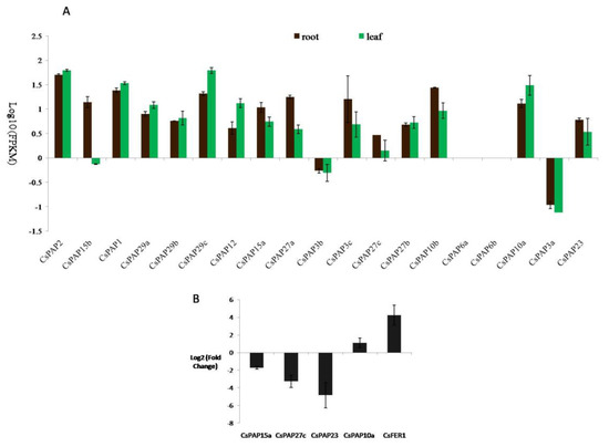 Identification of Tea Plant Purple Acid Phosphatase Genes
