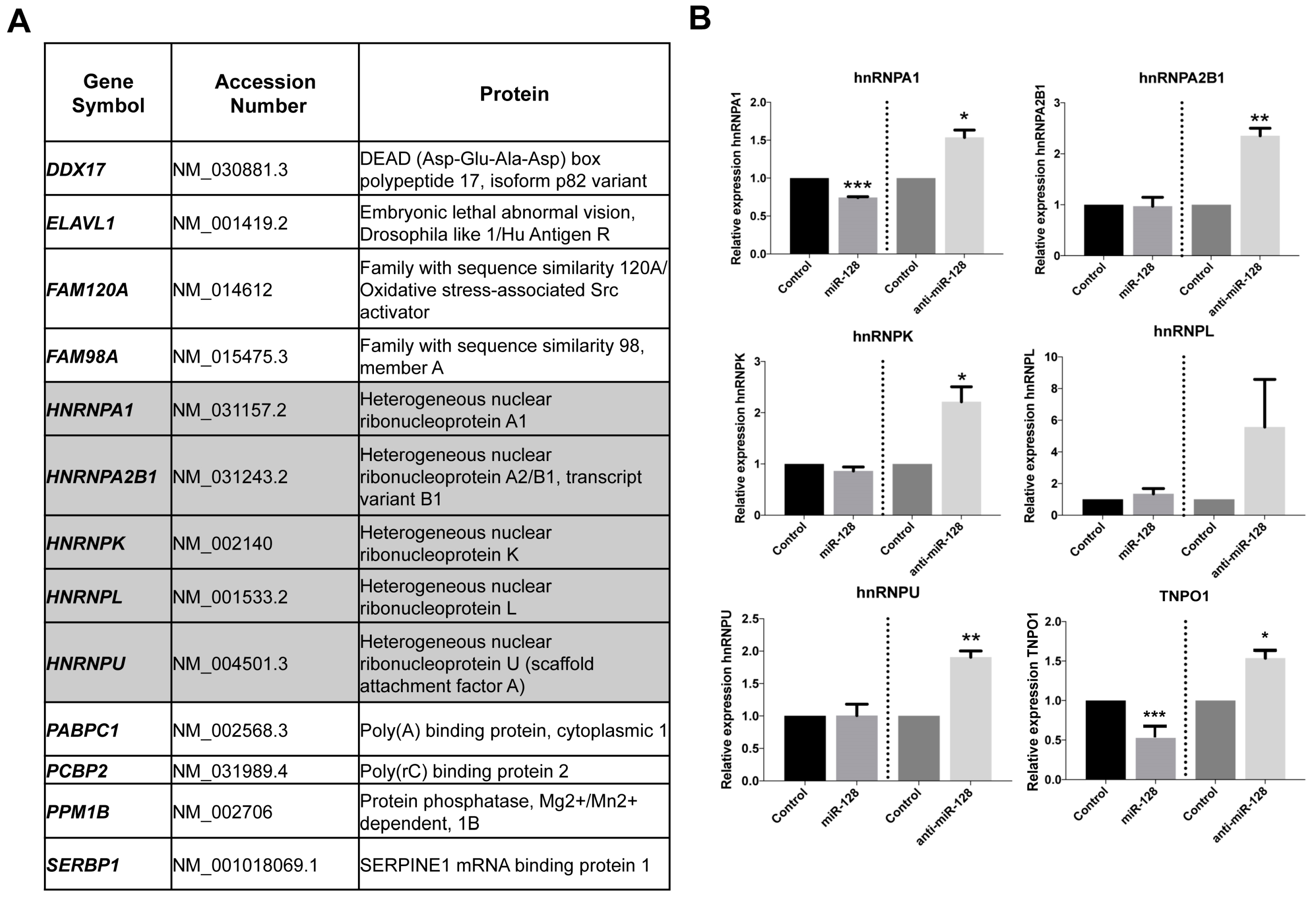 IJMS  Free Full-Text  miR-128 Restriction of LINE-1 (L1 