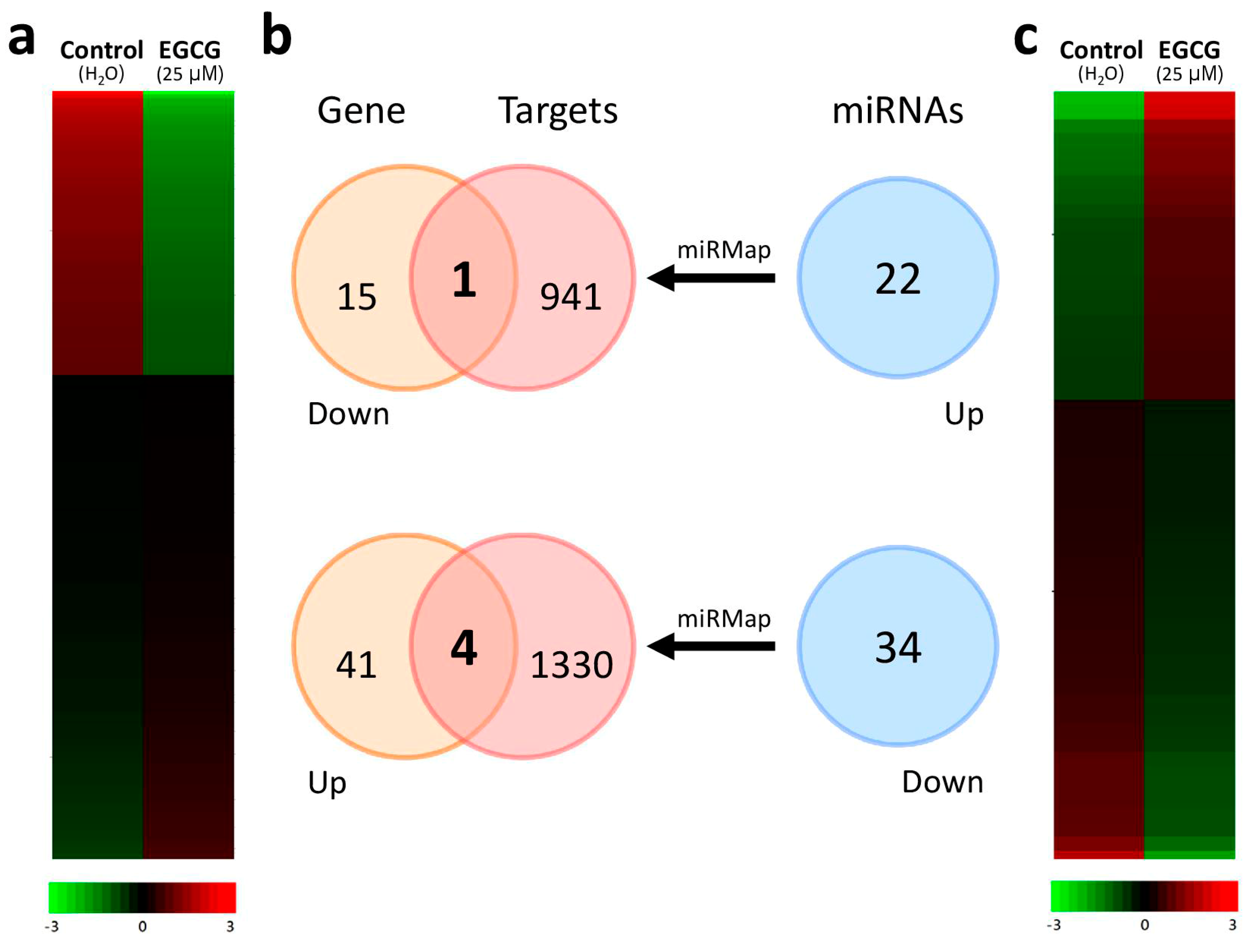 Ijms 20 01958 g002 Ijms 20 01958 g002